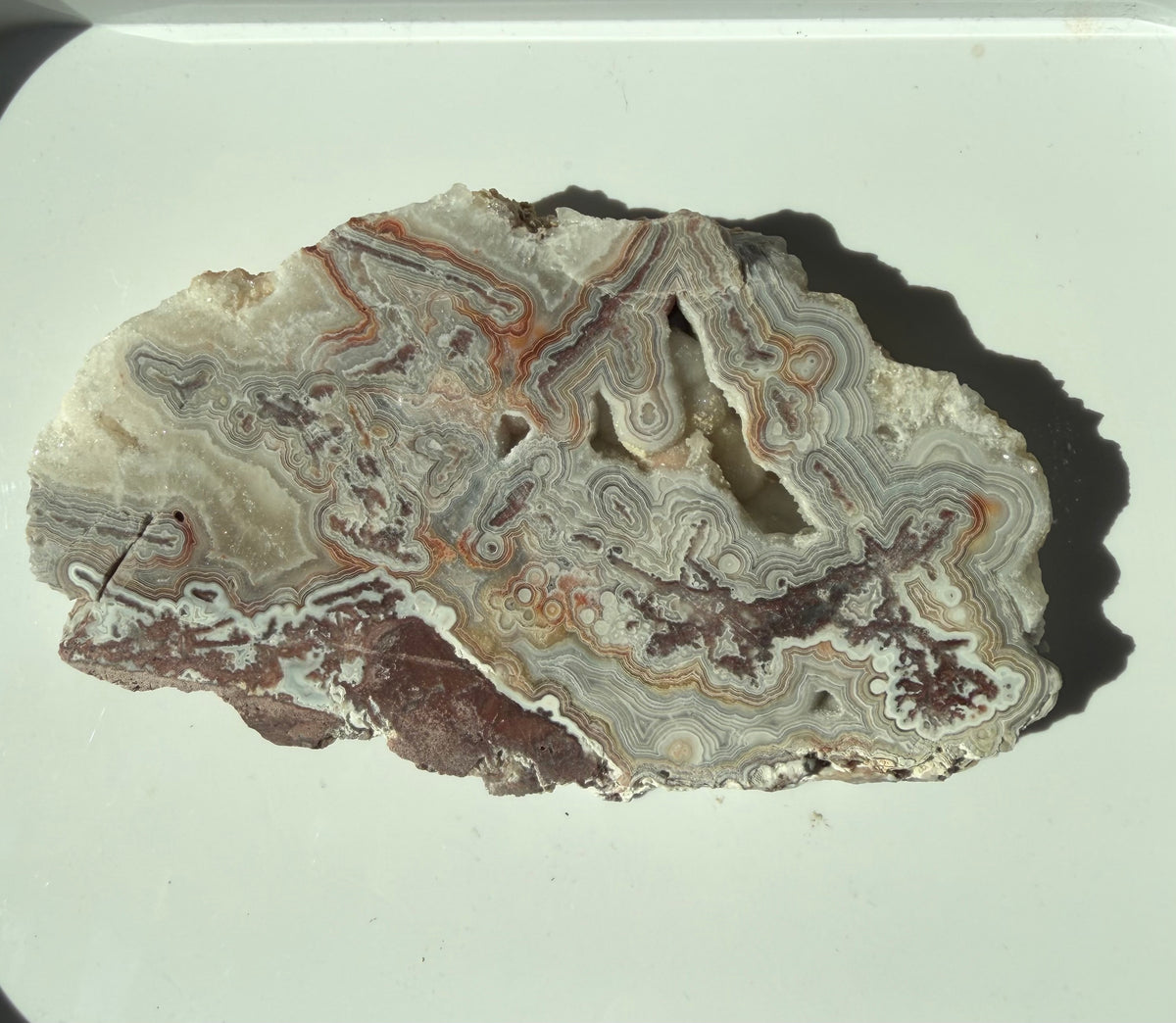 Crazy Lace Agate Slab from Mexico; 150.12 grams