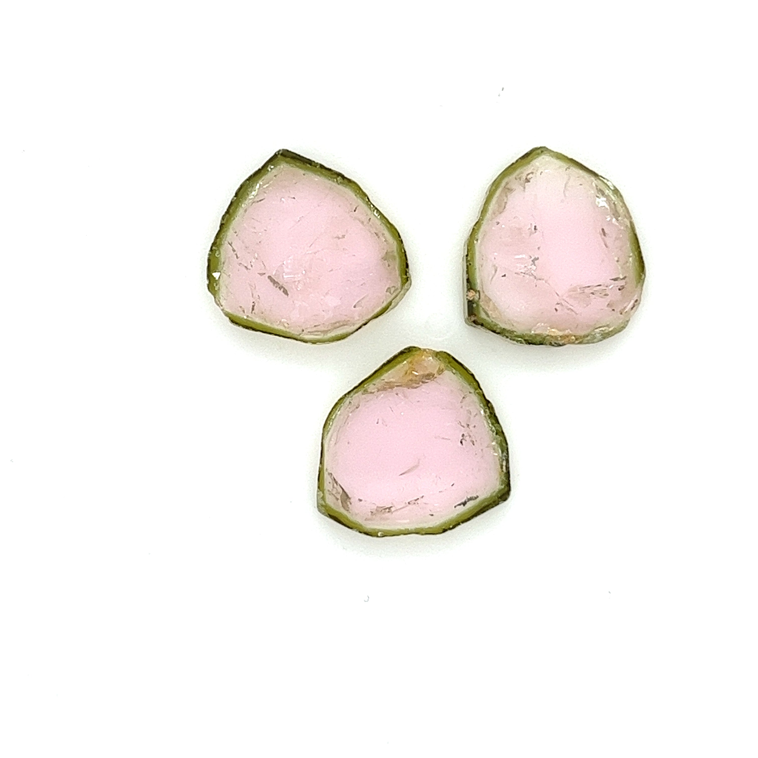 Tourmaline Slice; Natural Untreated Brazil Tourmaline; 22.820cts - Mark Oliver Gems