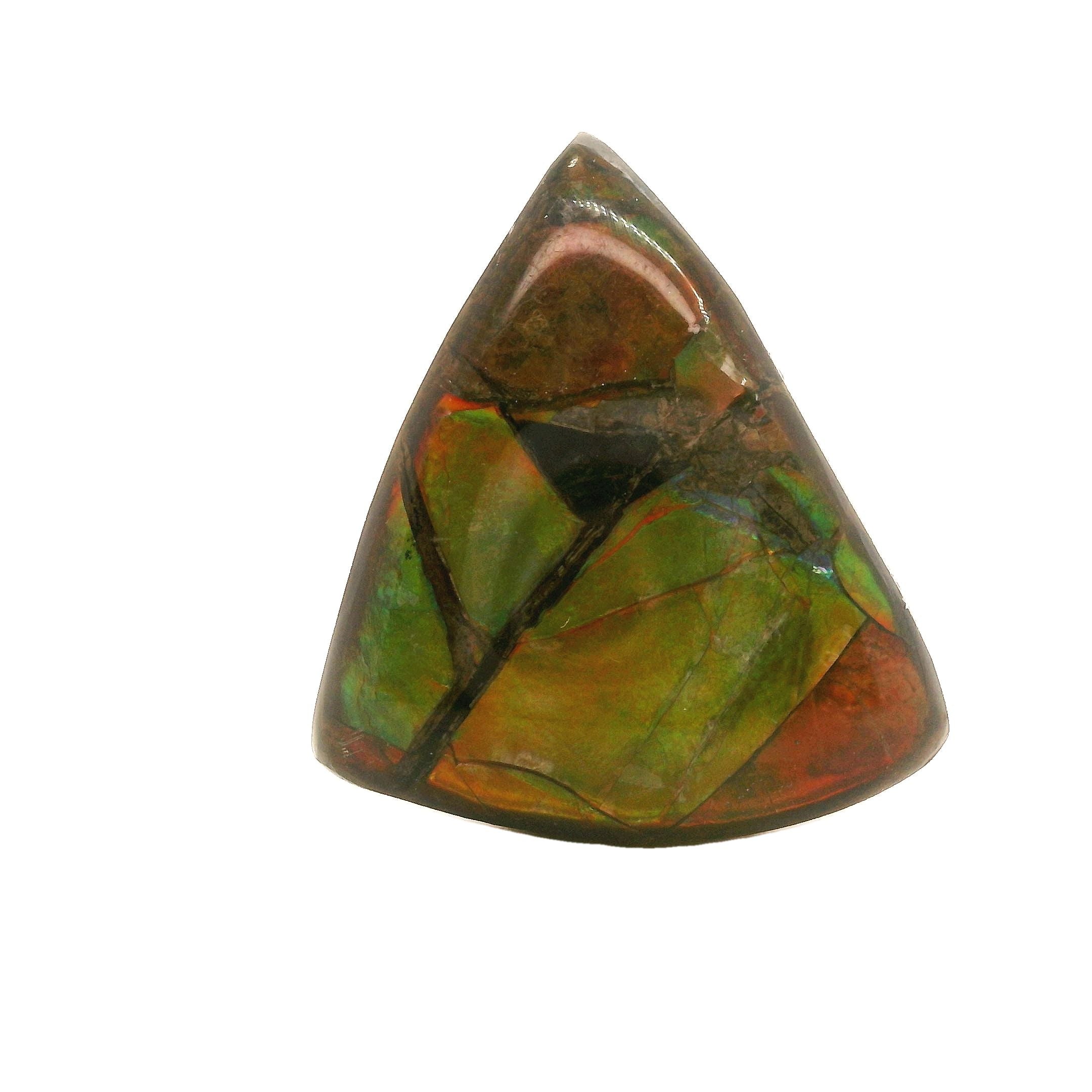 Ammolite Gemstone, 17.280cts - Mark Oliver Gems