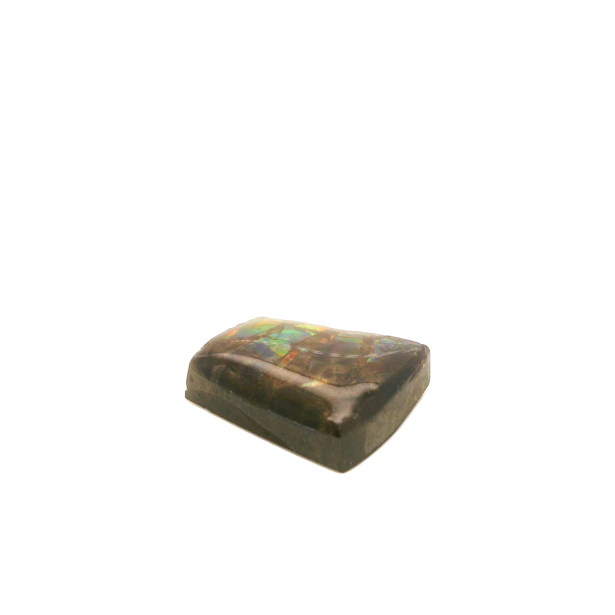 Ammolite Gemstone, 6.760cts - Mark Oliver Gems