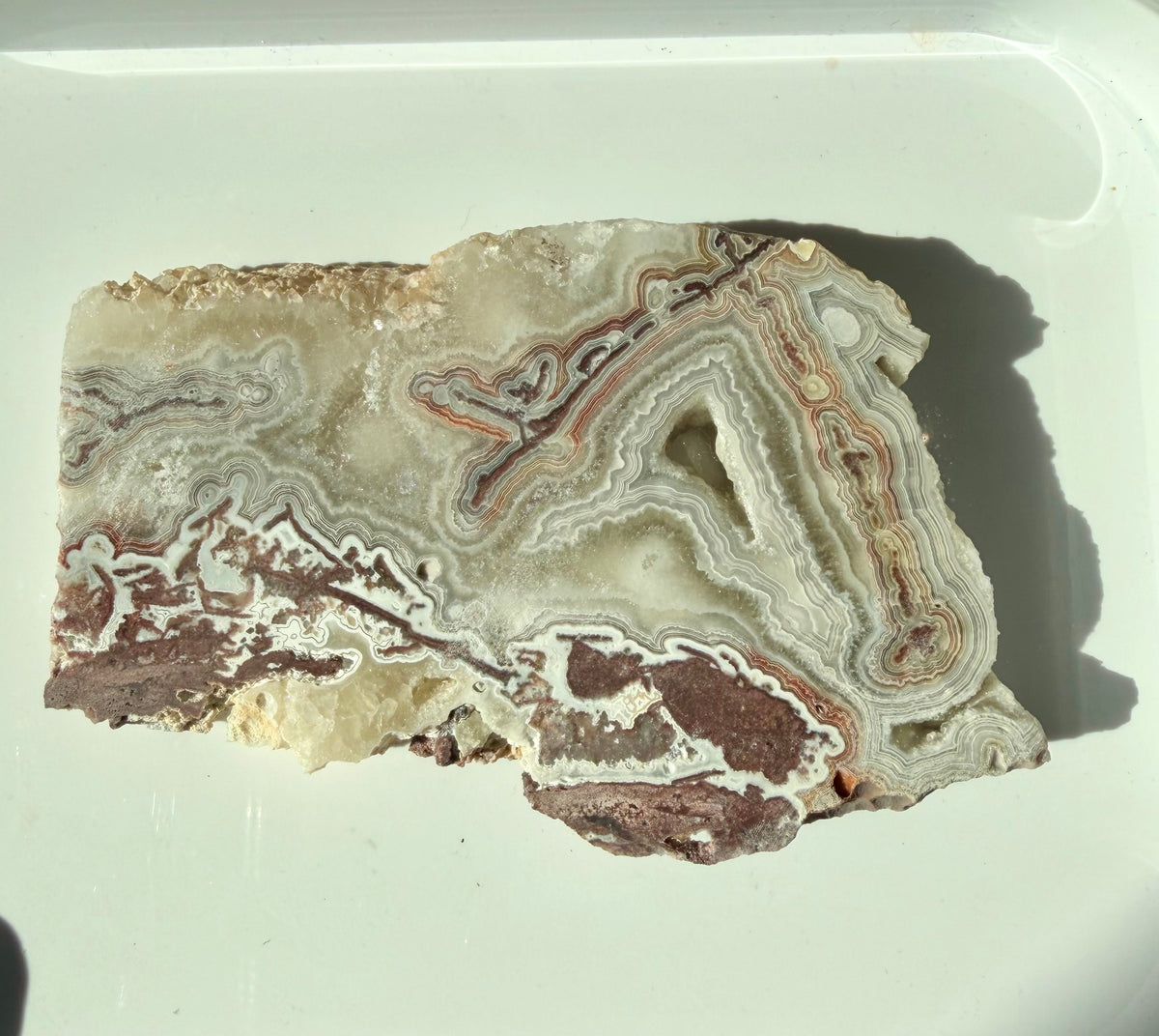 Crazy Lace Agate Slab from Mexico; 171.49 grams