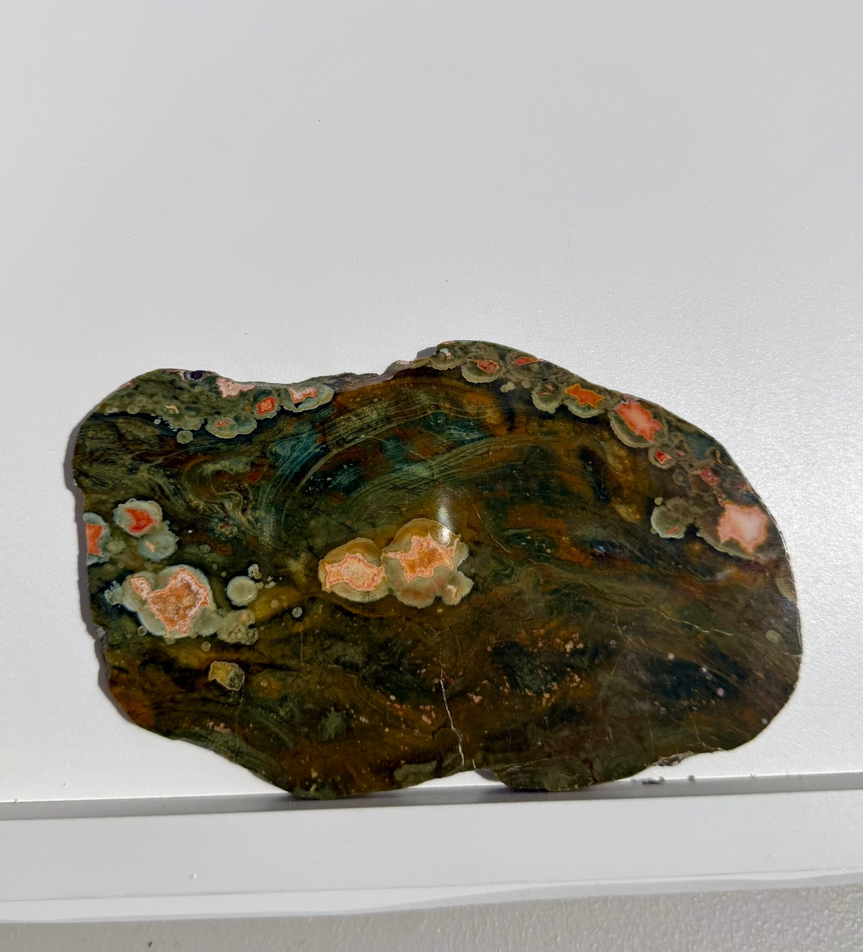 Rainforest Jasper Slab from Australia; 276.78 grams