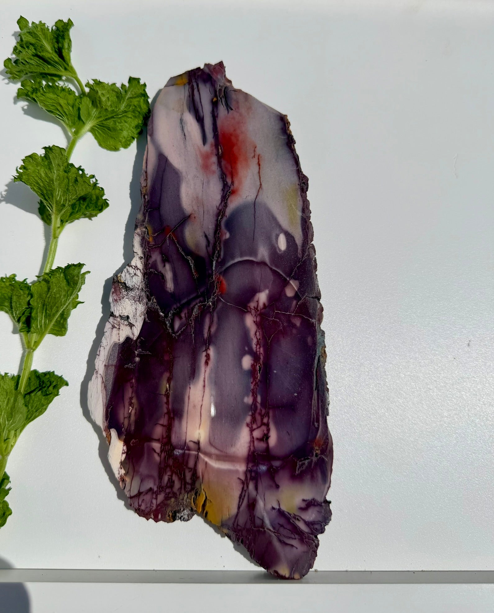 Mookaite Jasper Slab from Australia; 568.45 grams