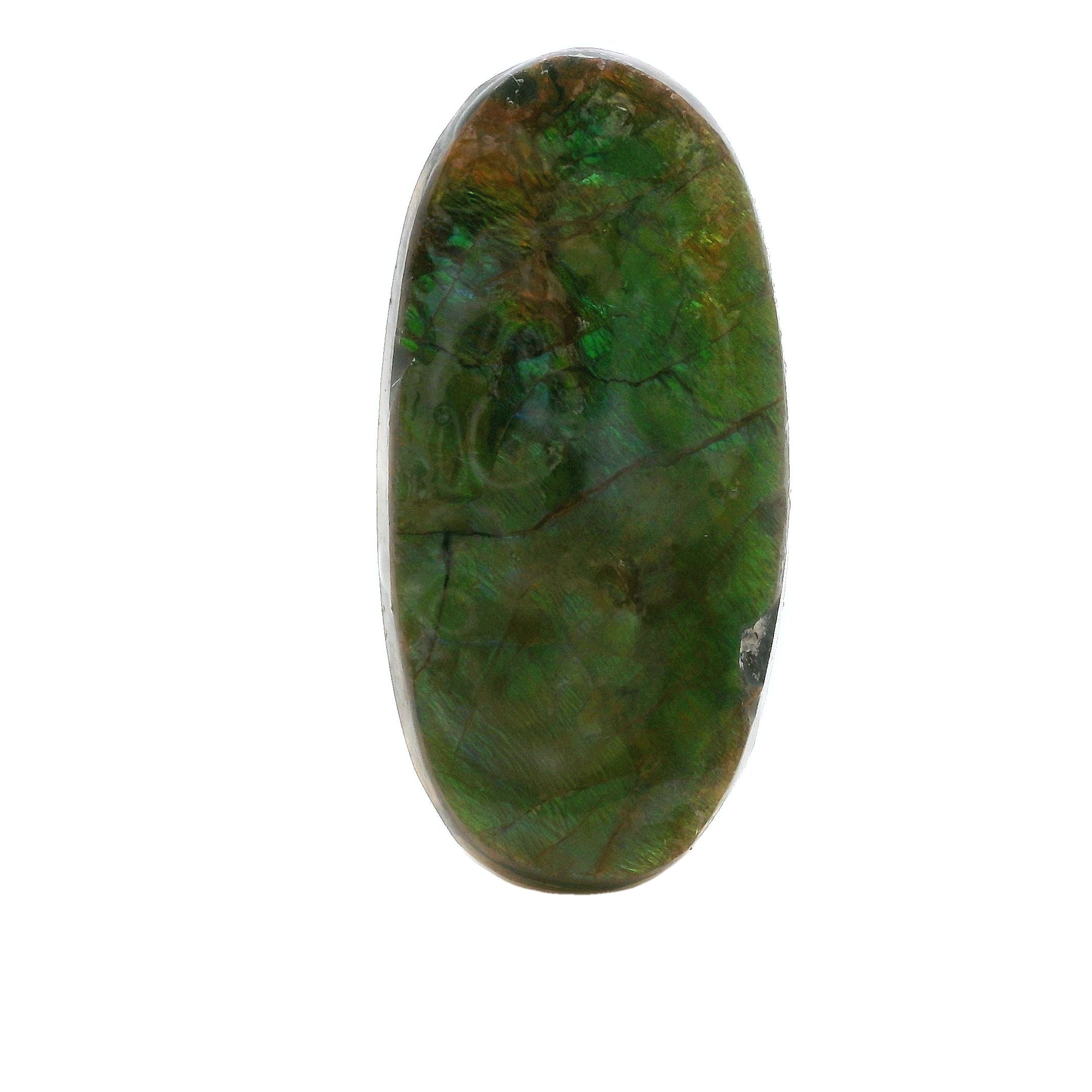 Ammolite Gemstone, 32.510cts - Mark Oliver Gems