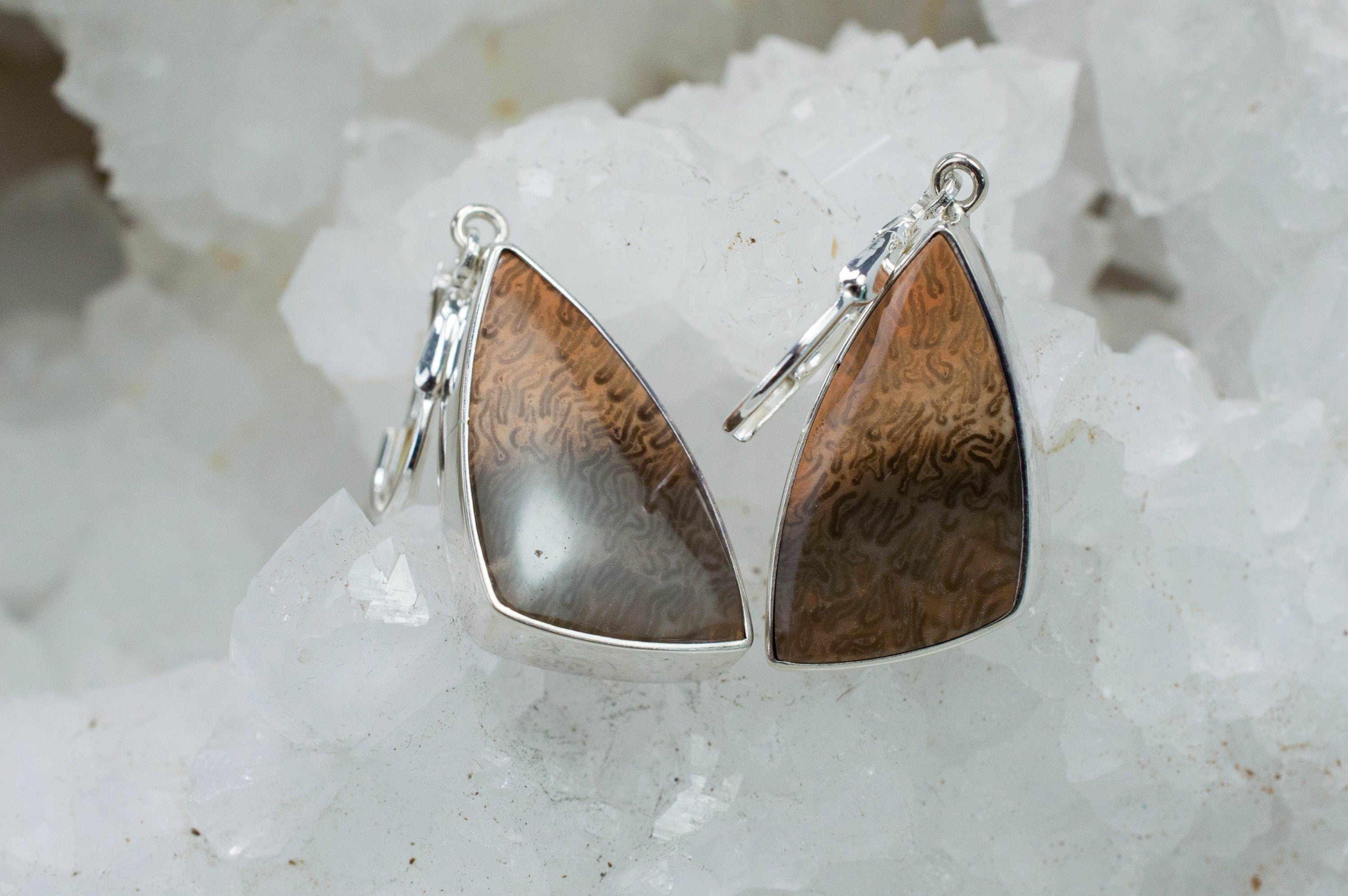 Petrified Fern Earrings; Genuine Untreated Australia Petrified Wood - Mark Oliver Gems