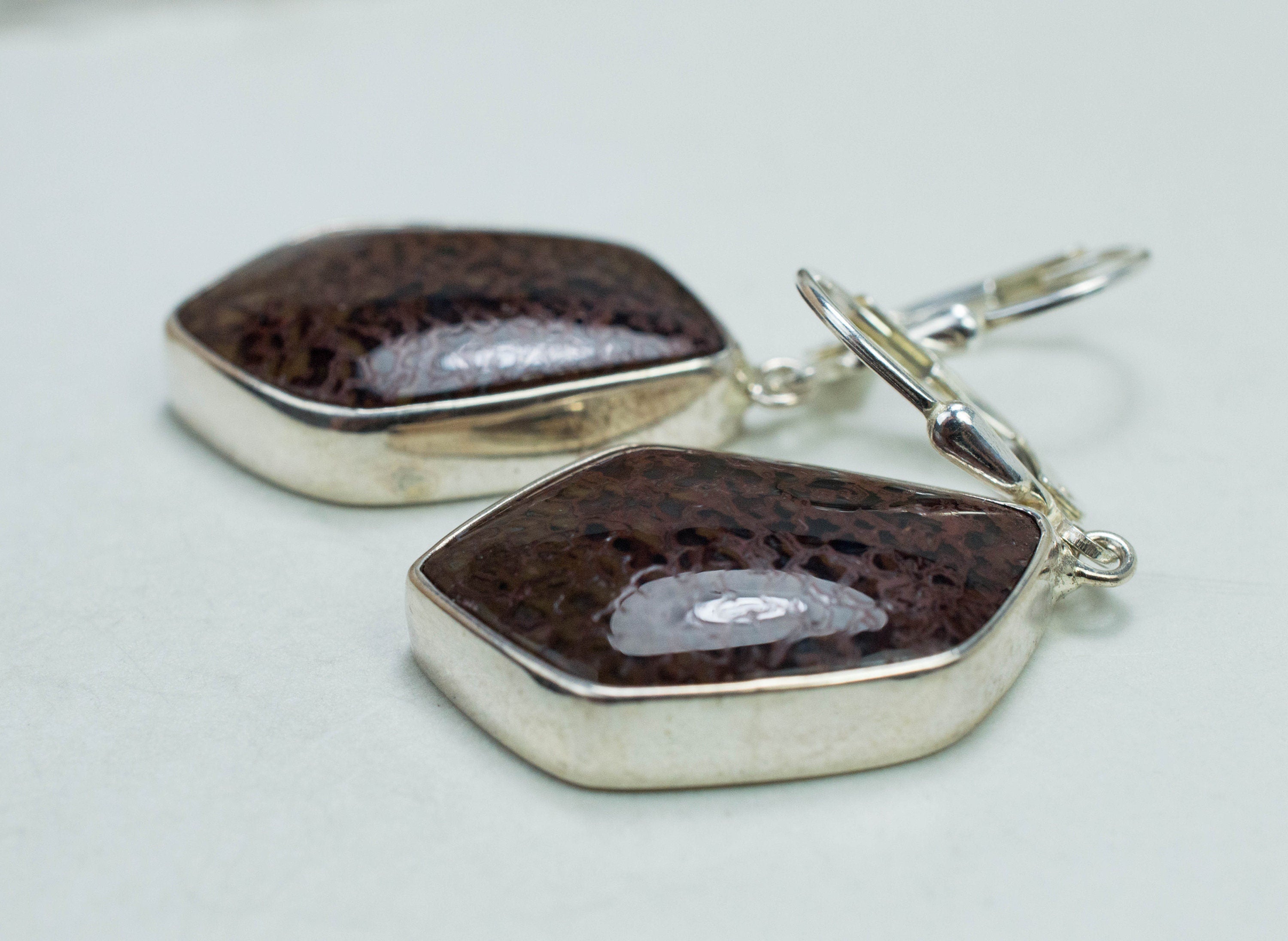 Dinosaur Bone Earrings; Natural Untreated Utah Dino Bone; 8.671g - Mark Oliver Gems