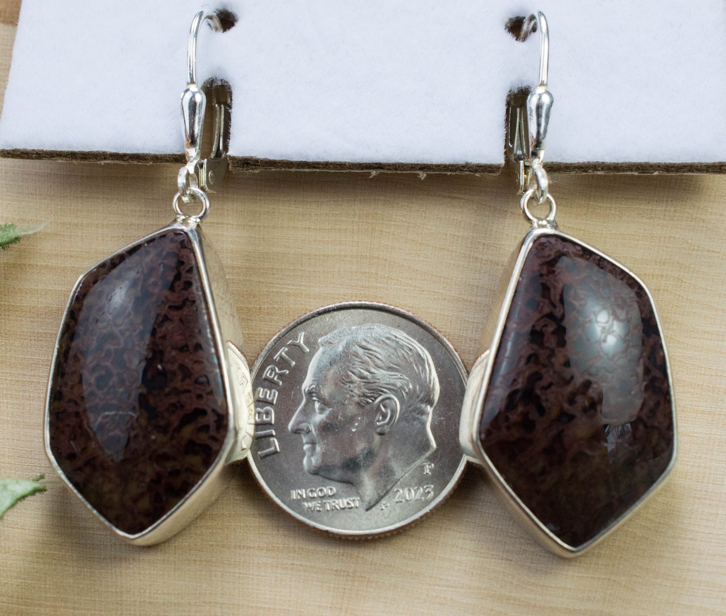 Dinosaur Bone Earrings; Natural Untreated Utah Dino Bone; 8.671g - Mark Oliver Gems