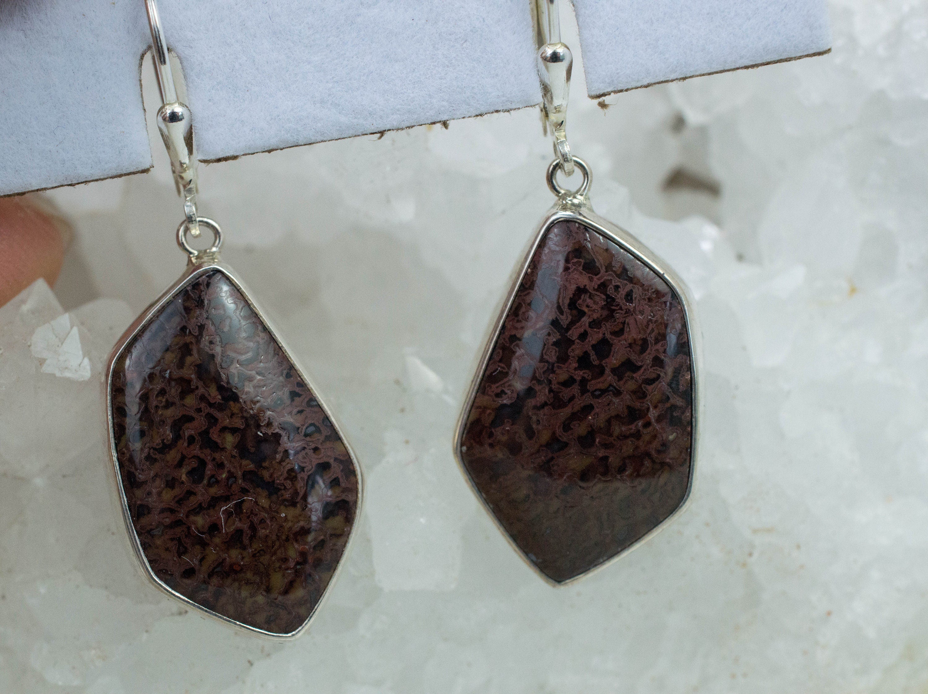 Dinosaur Bone Earrings; Natural Untreated Utah Dino Bone; 8.671g - Mark Oliver Gems