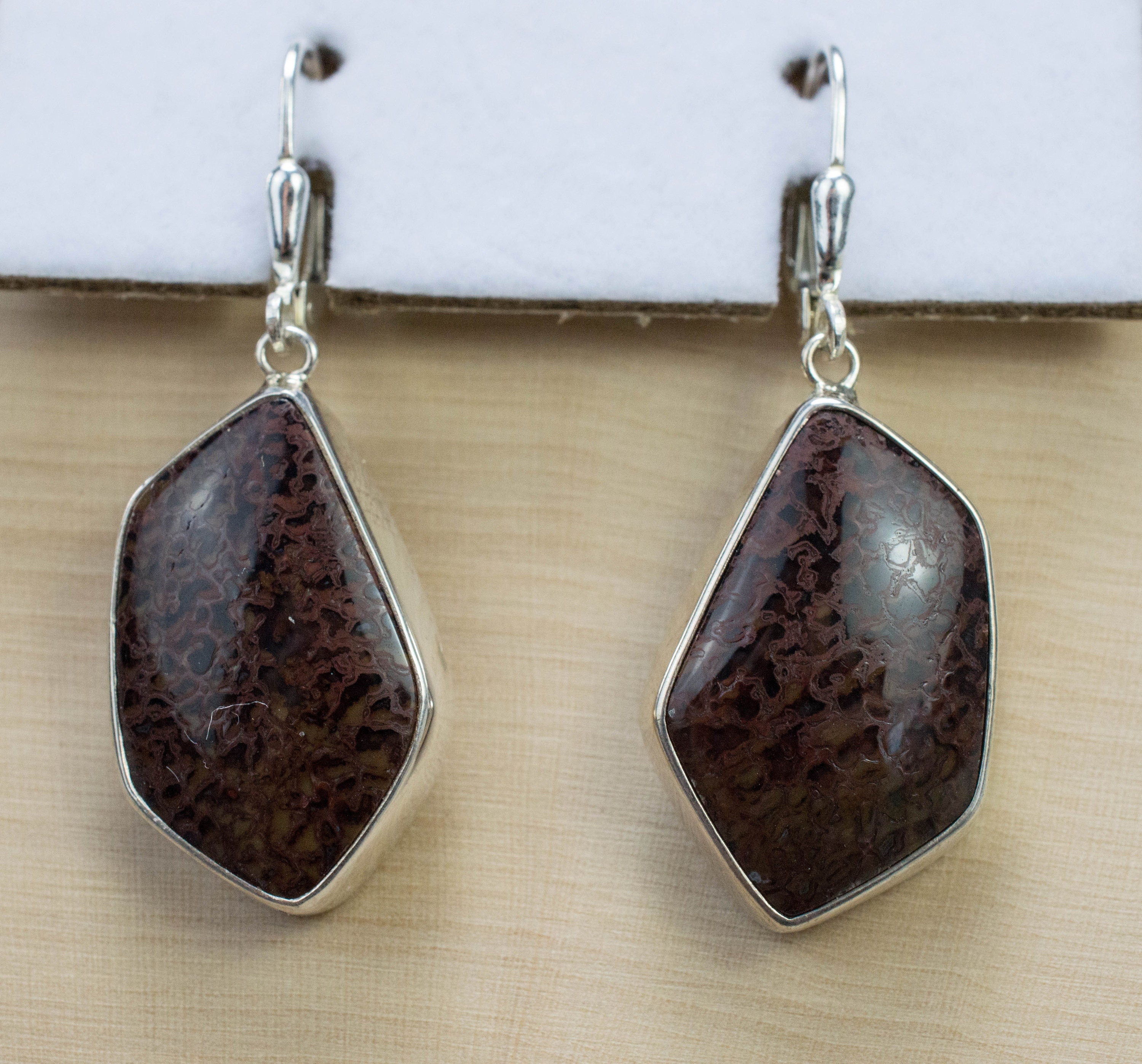Dinosaur Bone Earrings; Natural Untreated Utah Dino Bone; 8.671g - Mark Oliver Gems