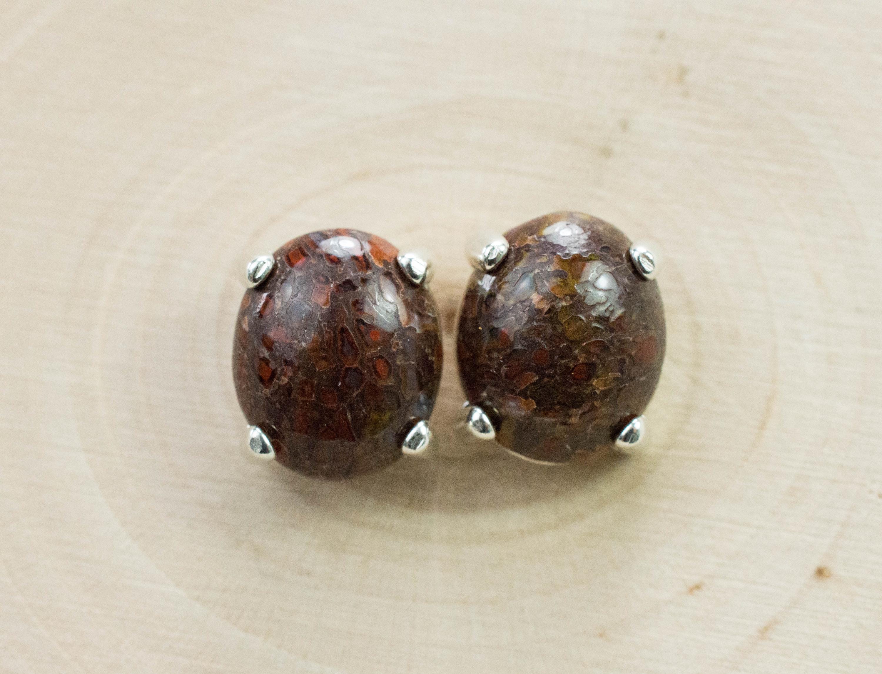 Dinosaur Bone Earrings; Natural Untreated Utah Dino Bone; 7.480cts - Mark Oliver Gems