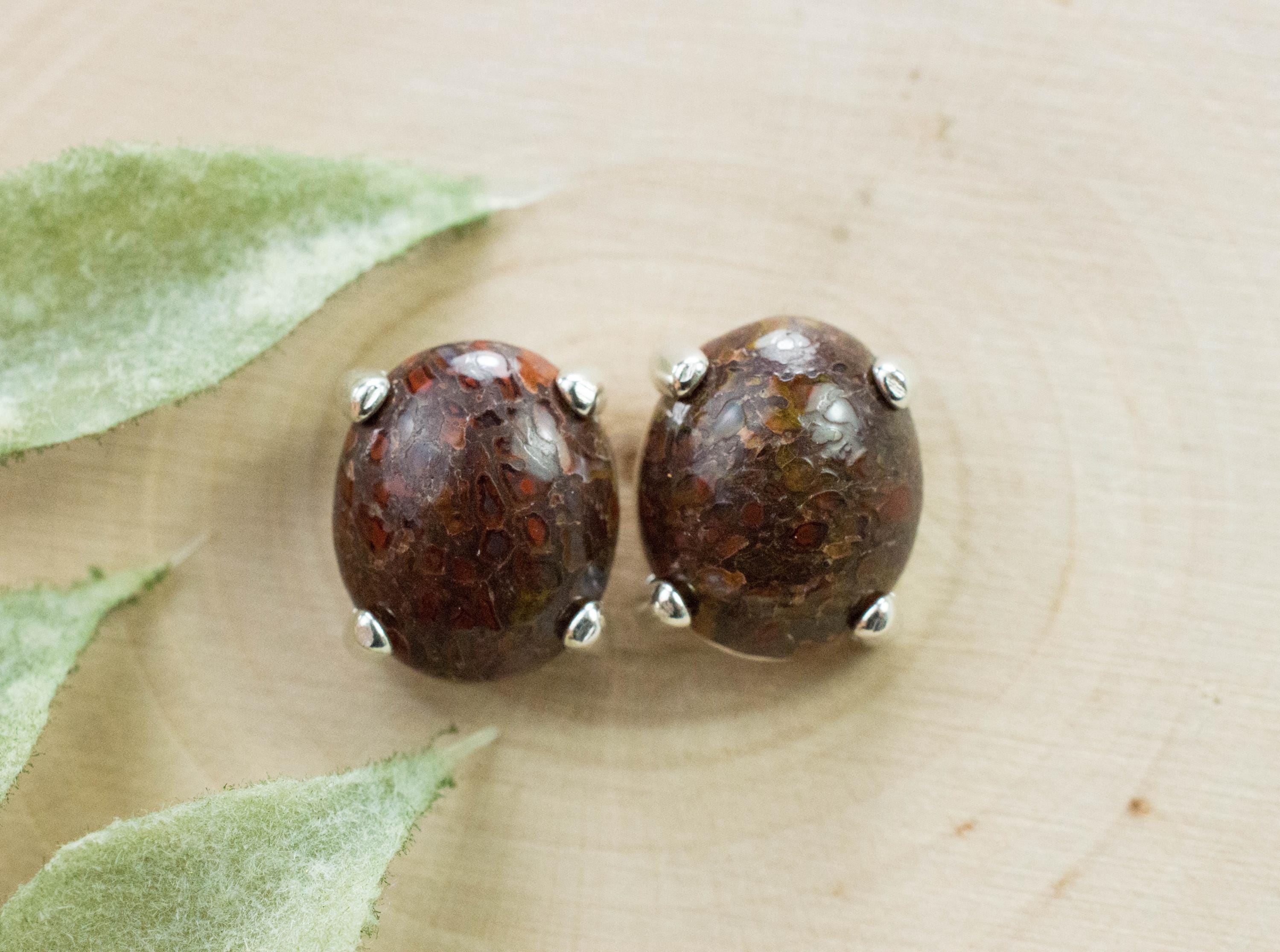 Dinosaur Bone Earrings; Natural Untreated Utah Dino Bone; 7.480cts - Mark Oliver Gems