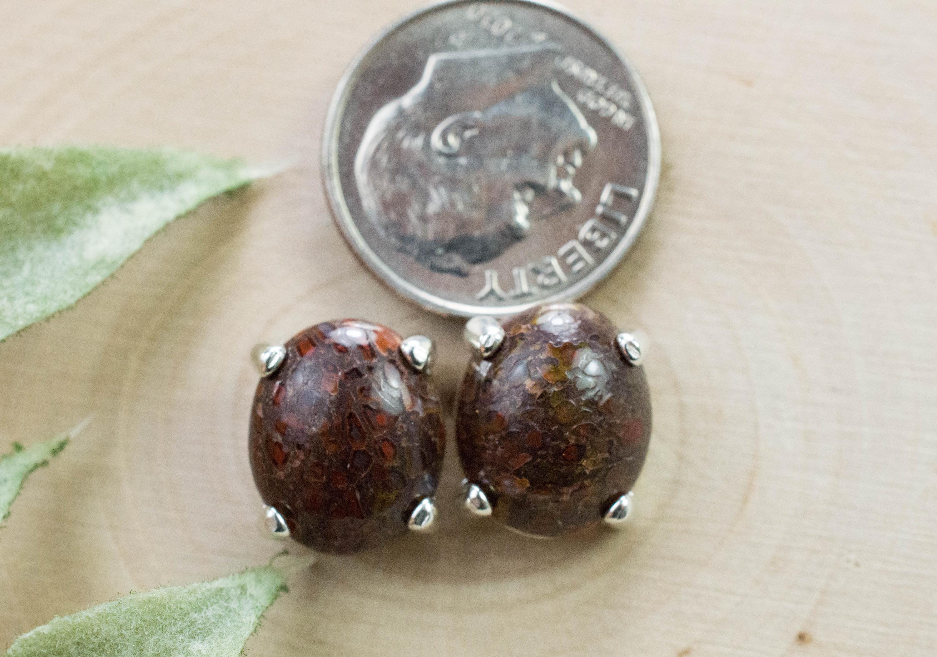 Dinosaur Bone Earrings; Natural Untreated Utah Dino Bone; 7.480cts - Mark Oliver Gems