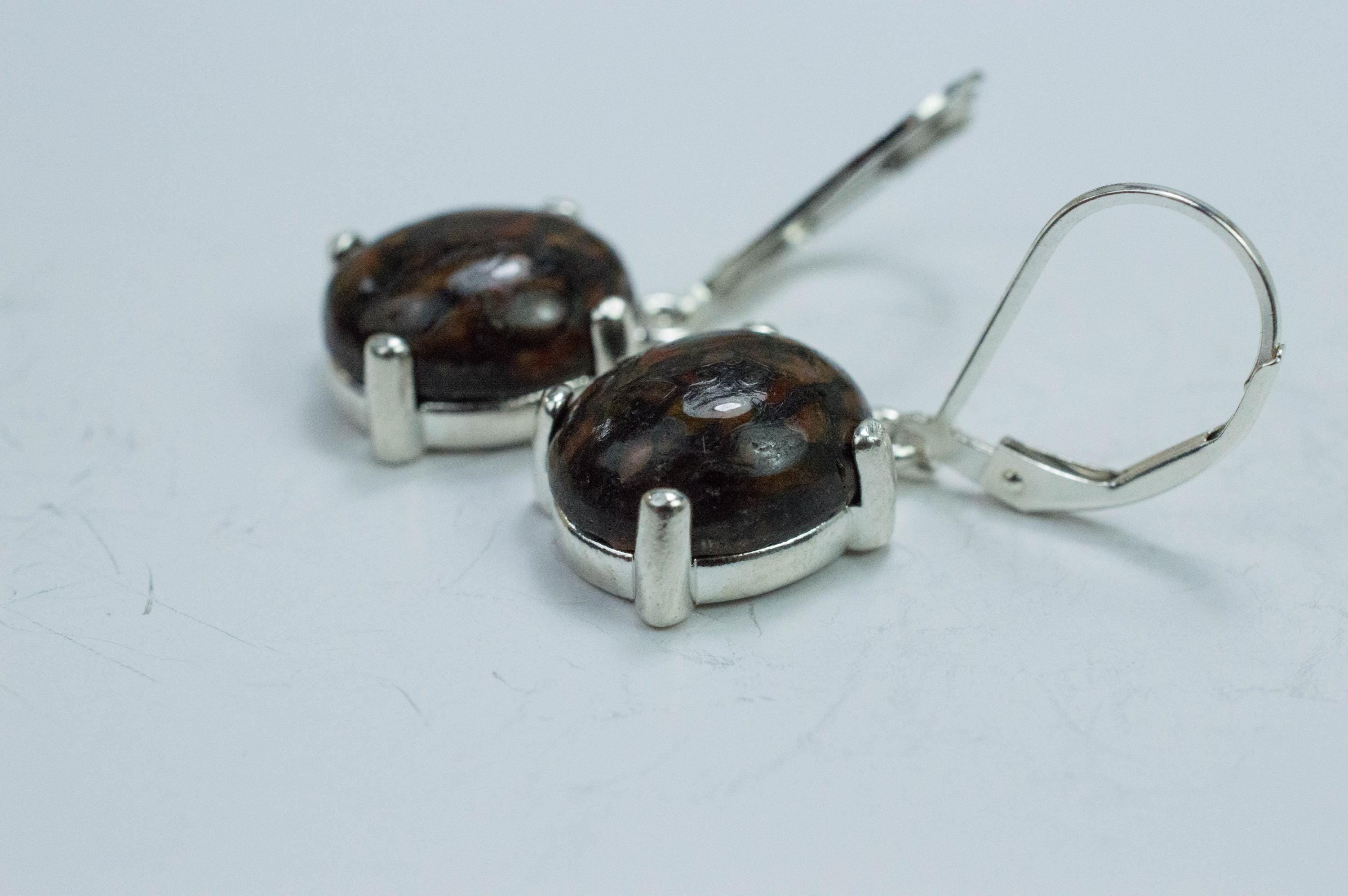 Dinosaur Bone Earrings; Natural Untreated Utah Dino Bone; 8.975cts - Mark Oliver Gems