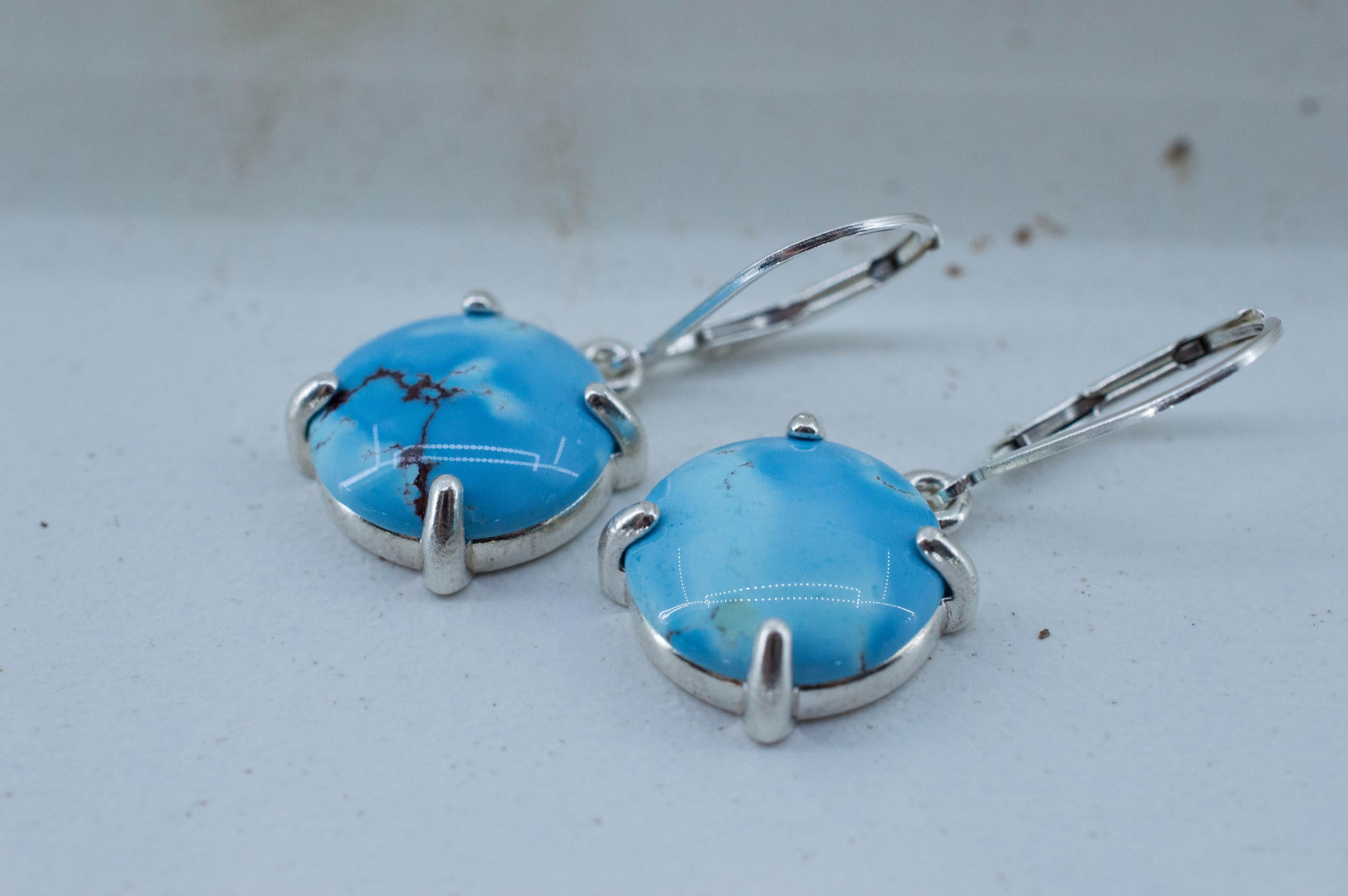 Golden Hills Turquoise Earrings, Natural Untreated Kazakhstan Turquoise; 7.720cts - Mark Oliver Gems