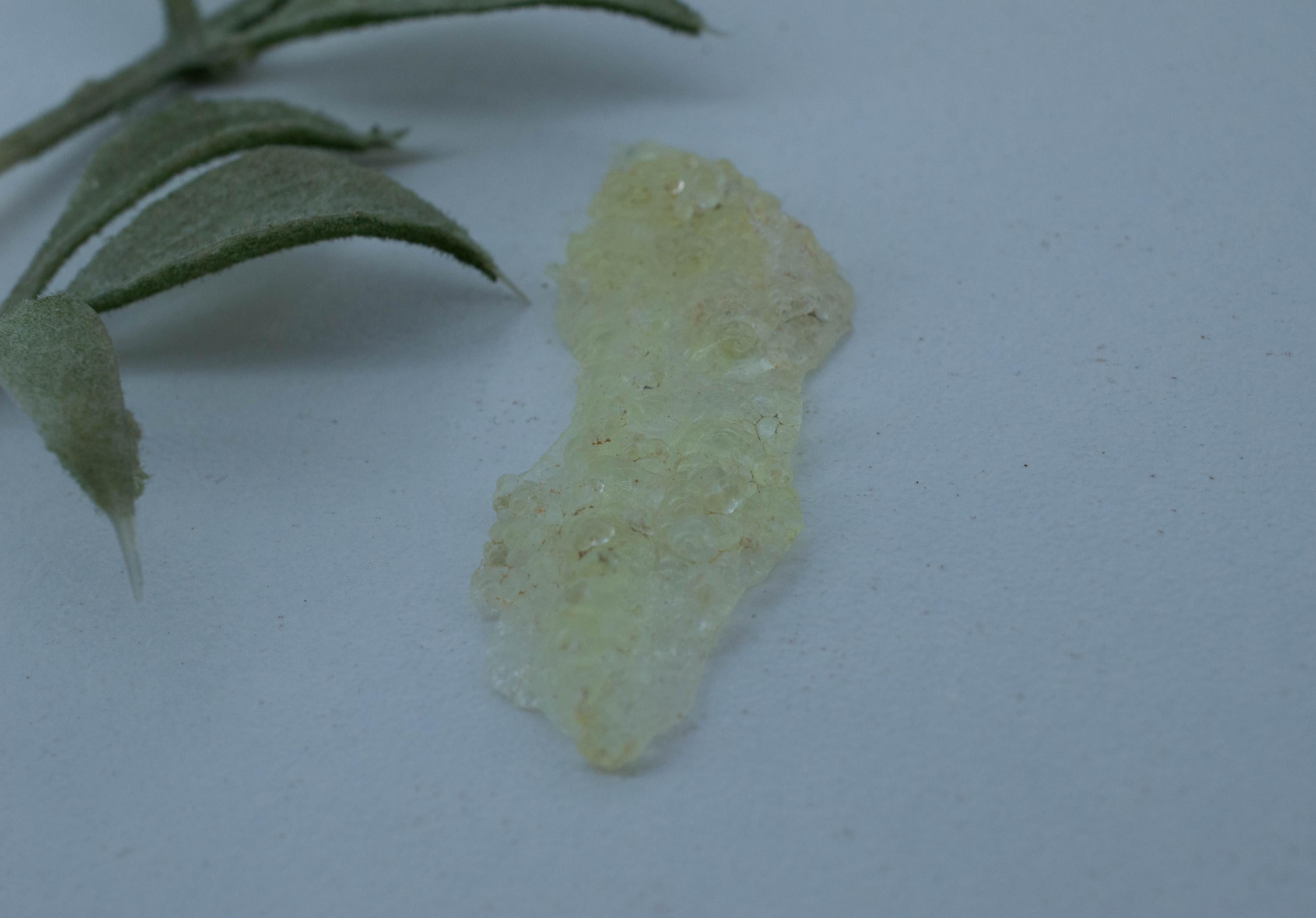 Hyalite Opal Specimen; Natural Untreated Erongo Namibia Fluorescent Opal; 9.580cts