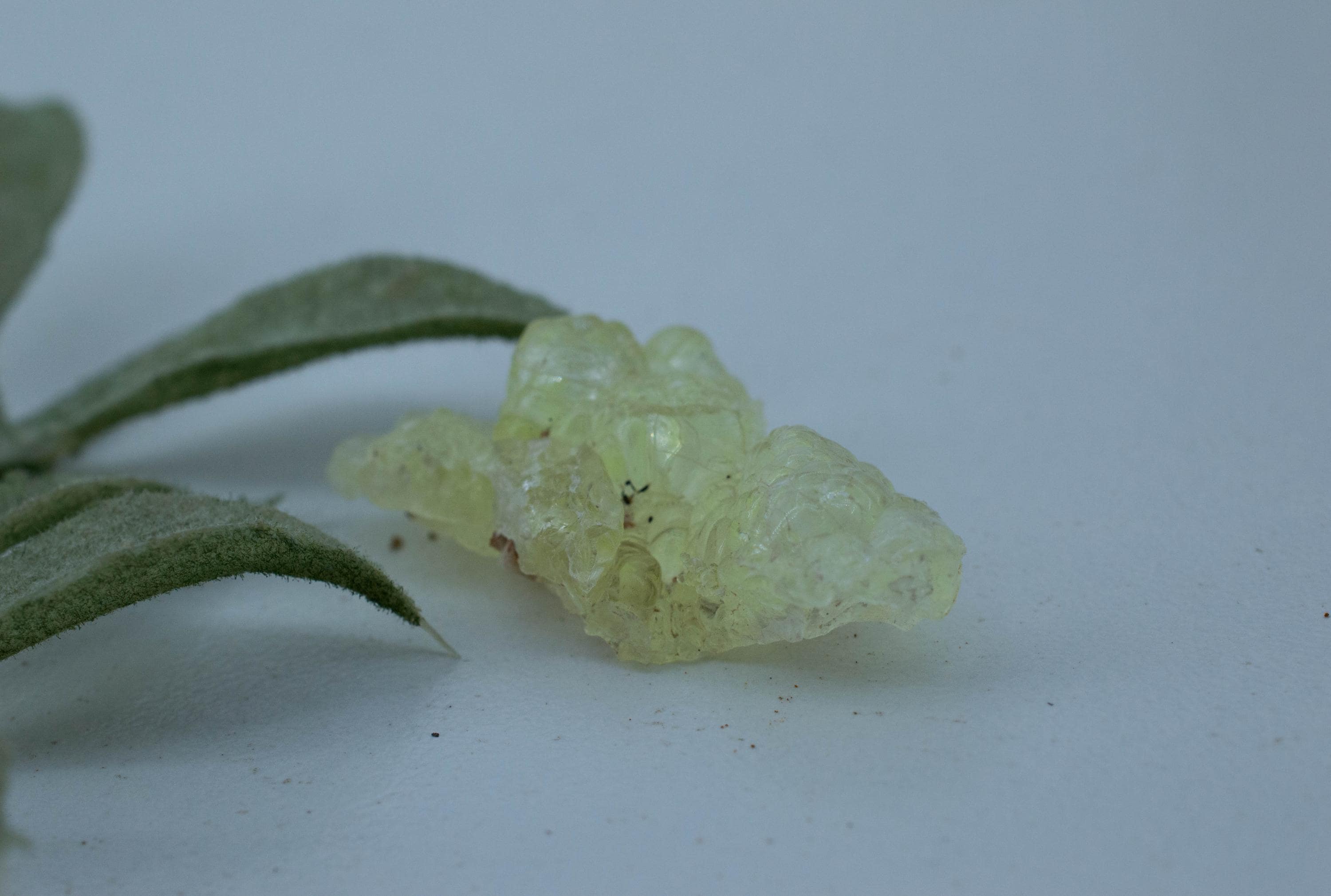 Hyalite Opal Specimen; Natural Untreated Erongo Namibia Fluorescent Opal; 18.960cts