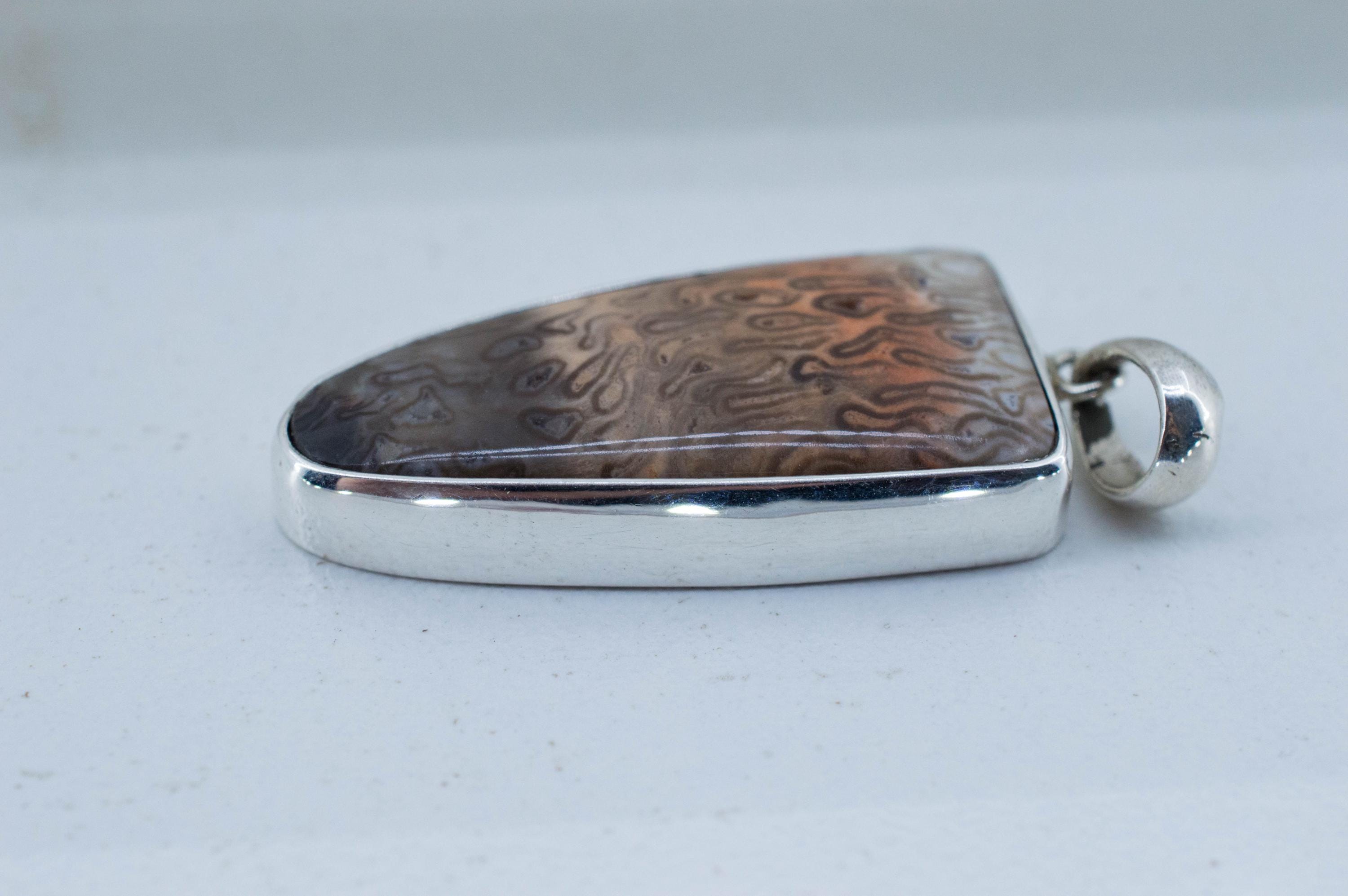 Petrified Fern Pendant; Natural Untreated Brazil Petrified Fern; 29x14mm