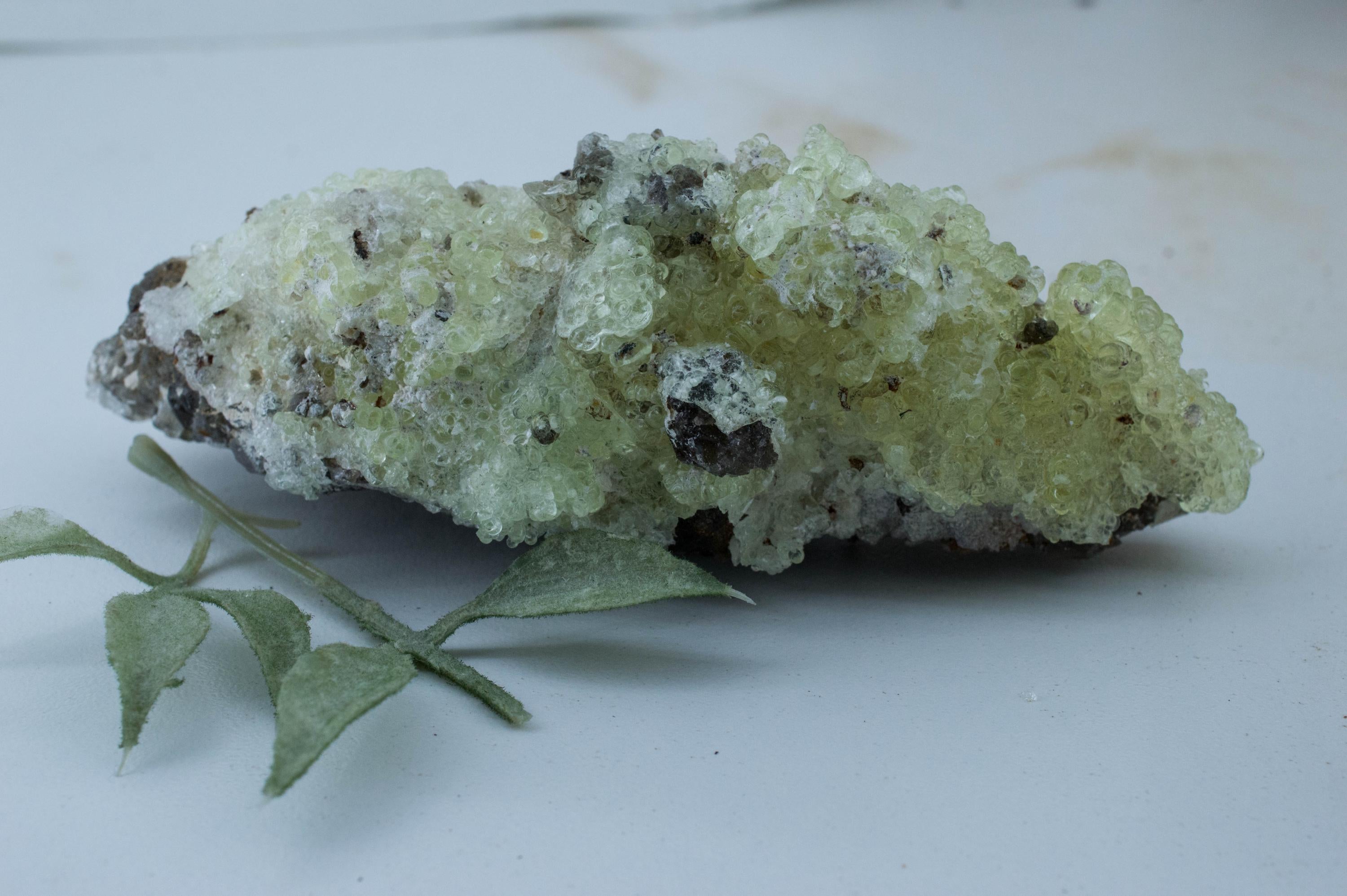 Hyalite Opal and Smoky Quartz Specimen; Natural Untreated Erongo Namibia Fluorescent Opal "Taco"; 200.23grams