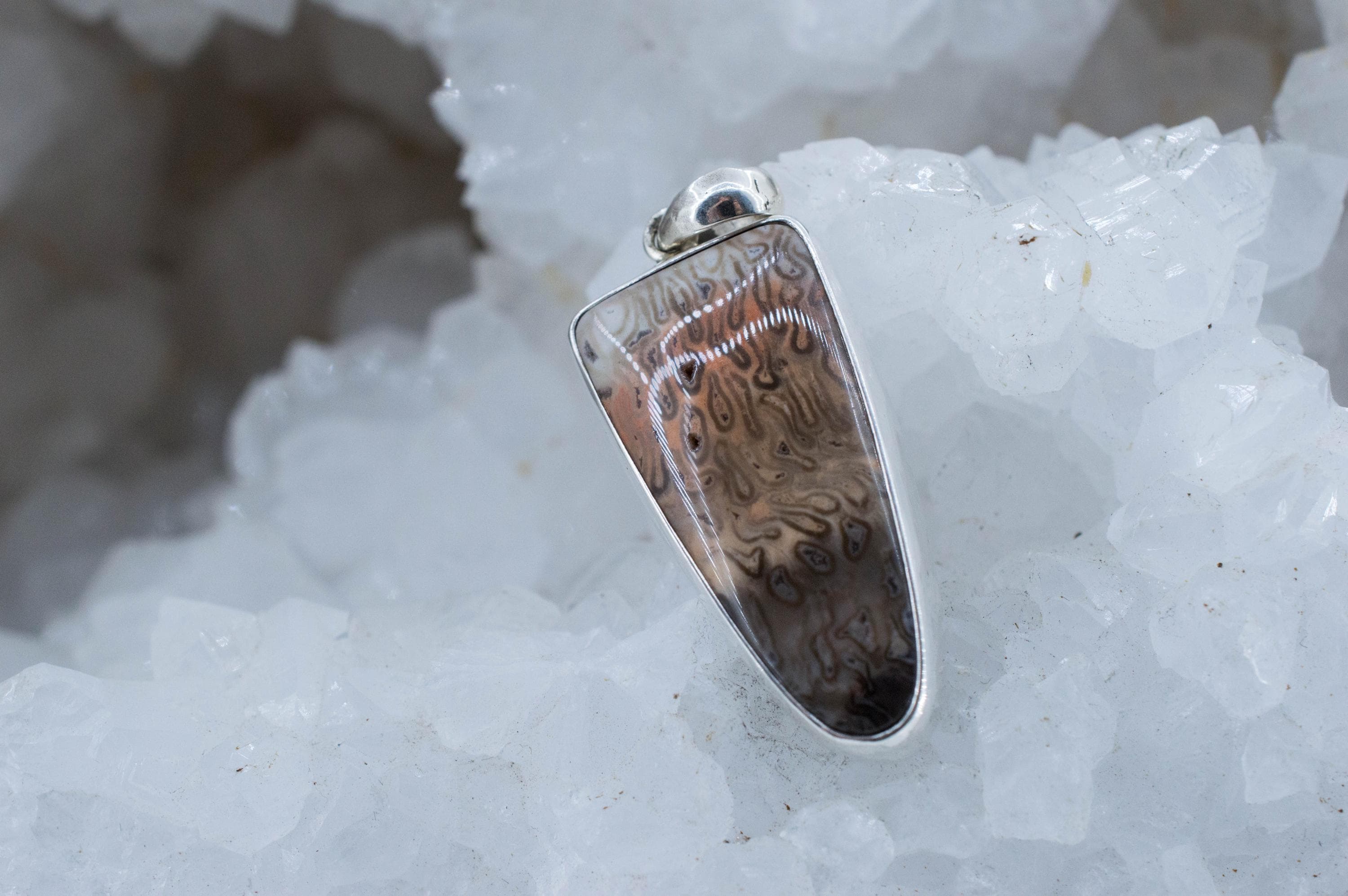 Petrified Fern Pendant; Natural Untreated Brazil Petrified Fern; 29x14mm