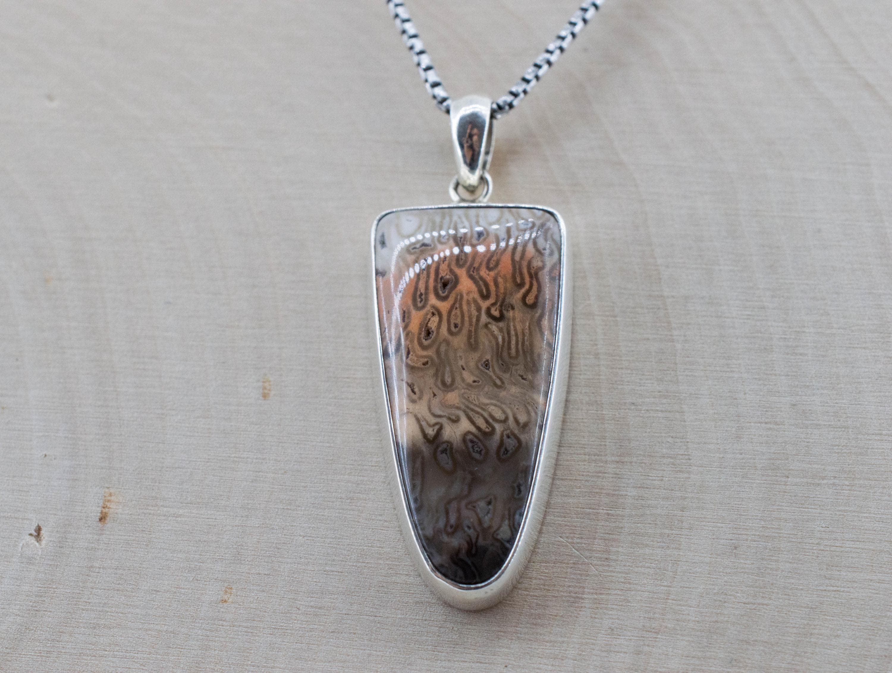 Petrified Fern Pendant; Natural Untreated Brazil Petrified Fern; 29x14mm