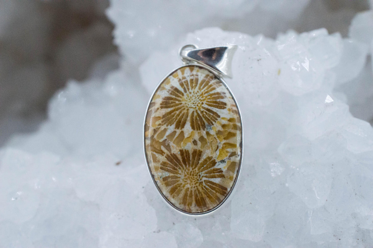 Fossil Coral Pendant; Natural Untreated Indonesia Coral