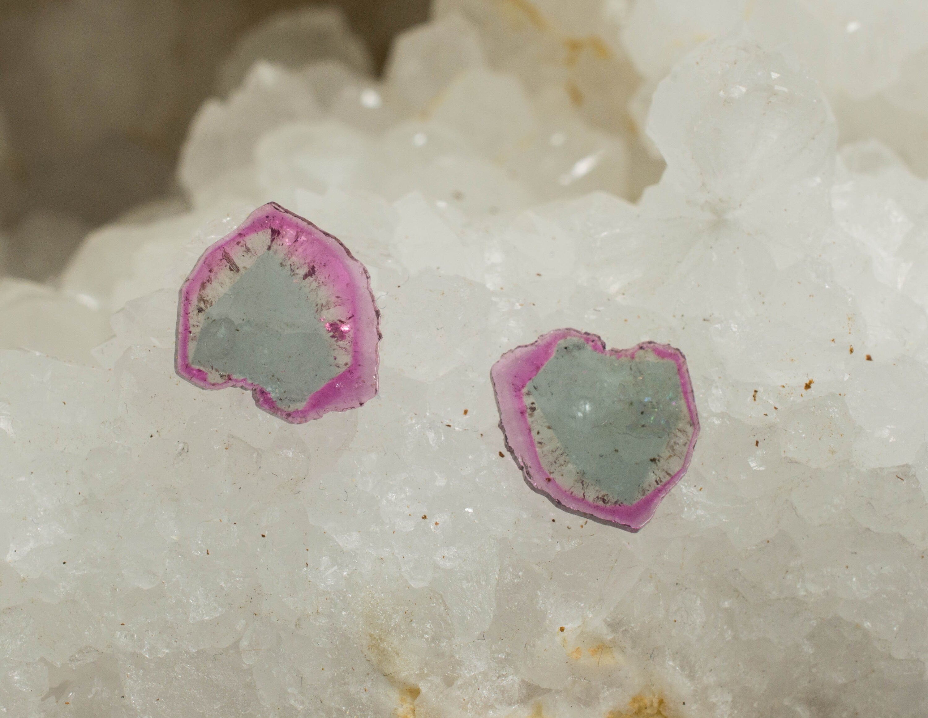 Tourmaline Slice Gemstone Matched Pair; Genuine Untreated Madagascan Tourmaline - Mark Oliver Gems