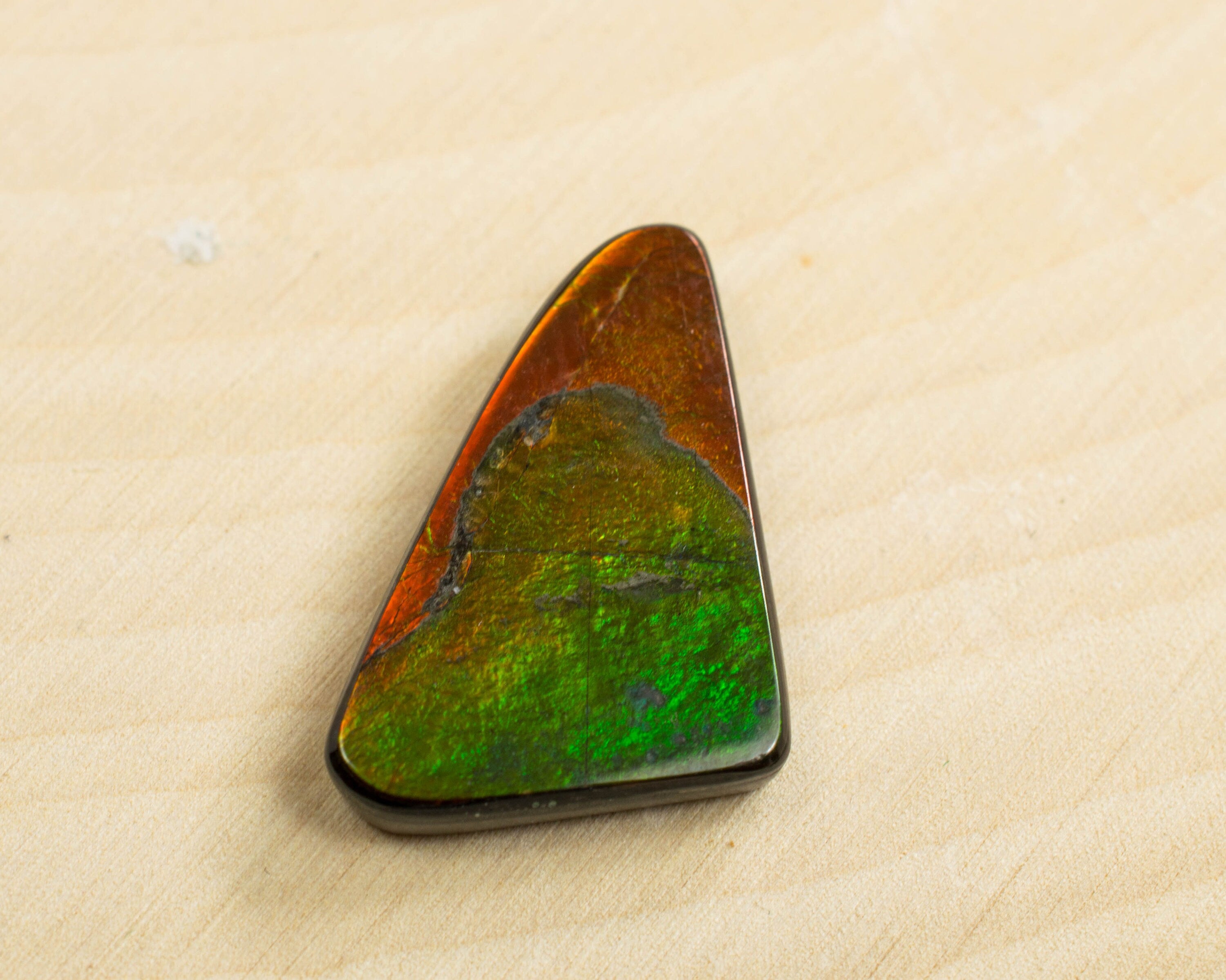Ammolite Specimen; Genuine Canadian Ammolite - Mark Oliver Gems