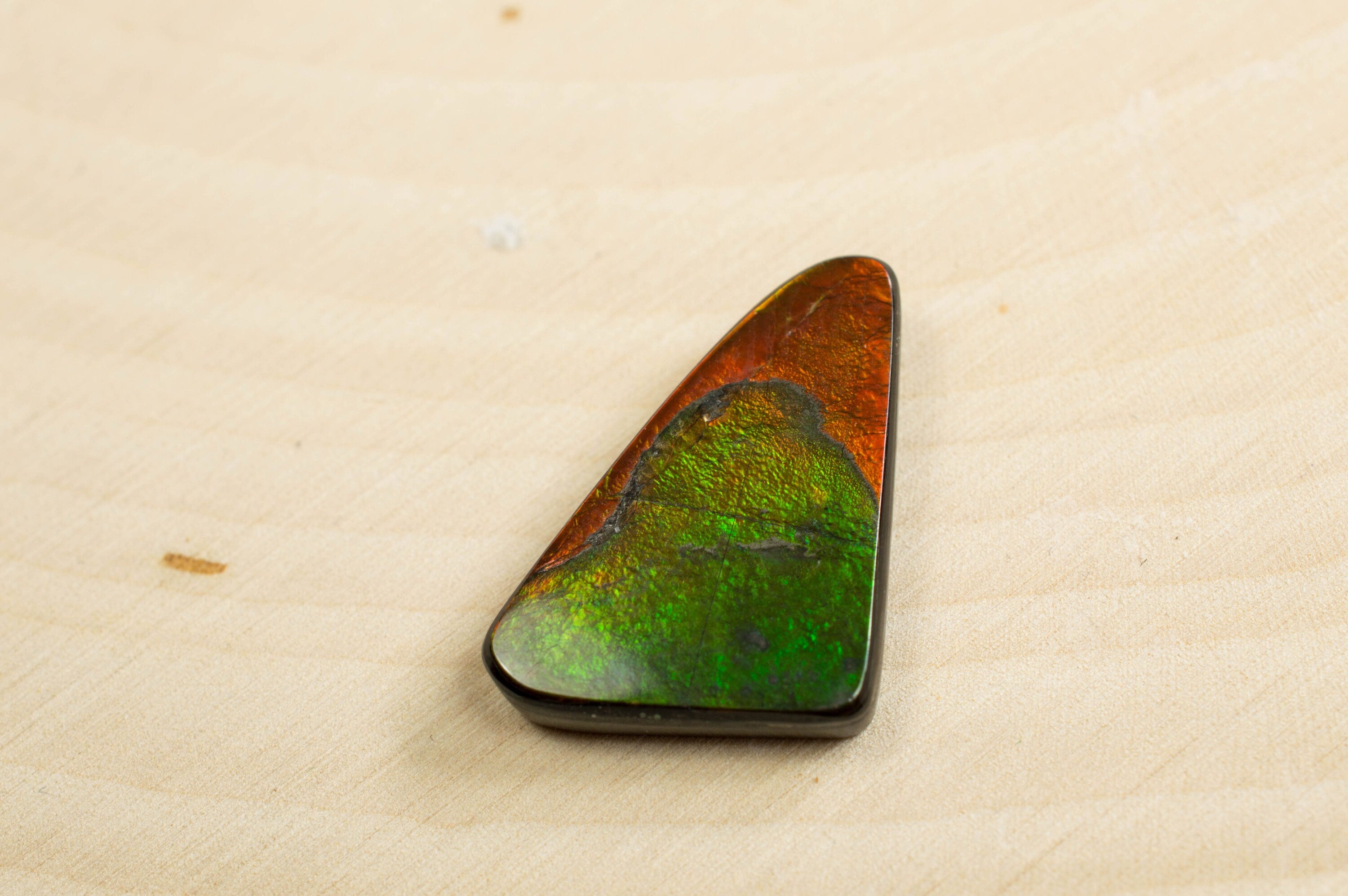 Ammolite Specimen; Genuine Canadian Ammolite - Mark Oliver Gems