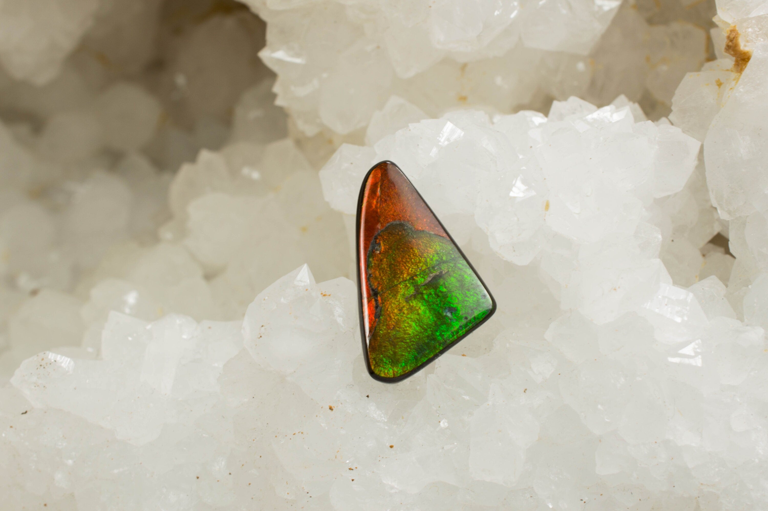 Ammolite Specimen; Genuine Canadian Ammolite - Mark Oliver Gems