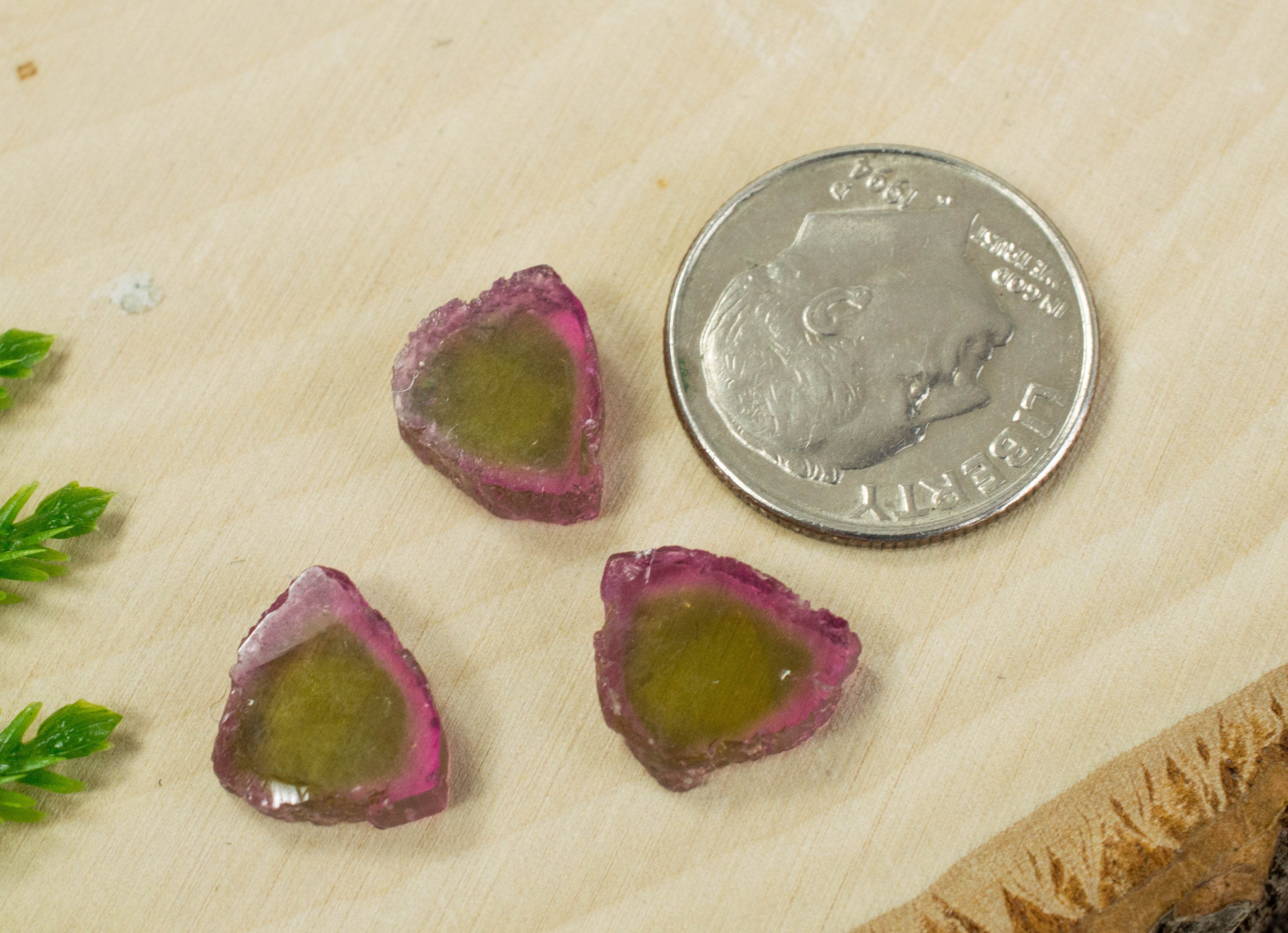 Watermelon Tourmaline Slices; Genuine Untreated Brazilian Tourmaline - Mark Oliver Gems