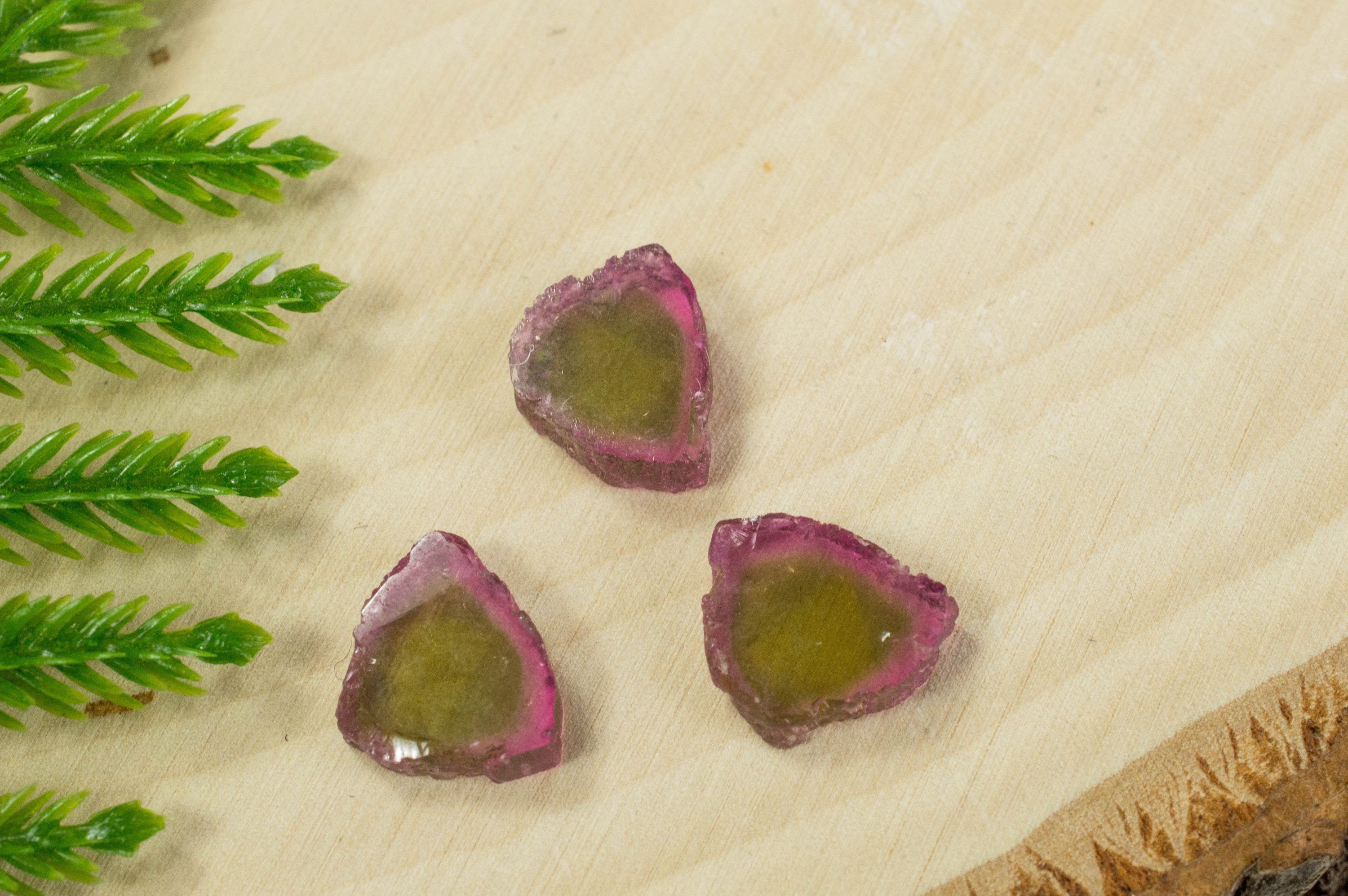 Outlet Watermelon tourmaline slice pair