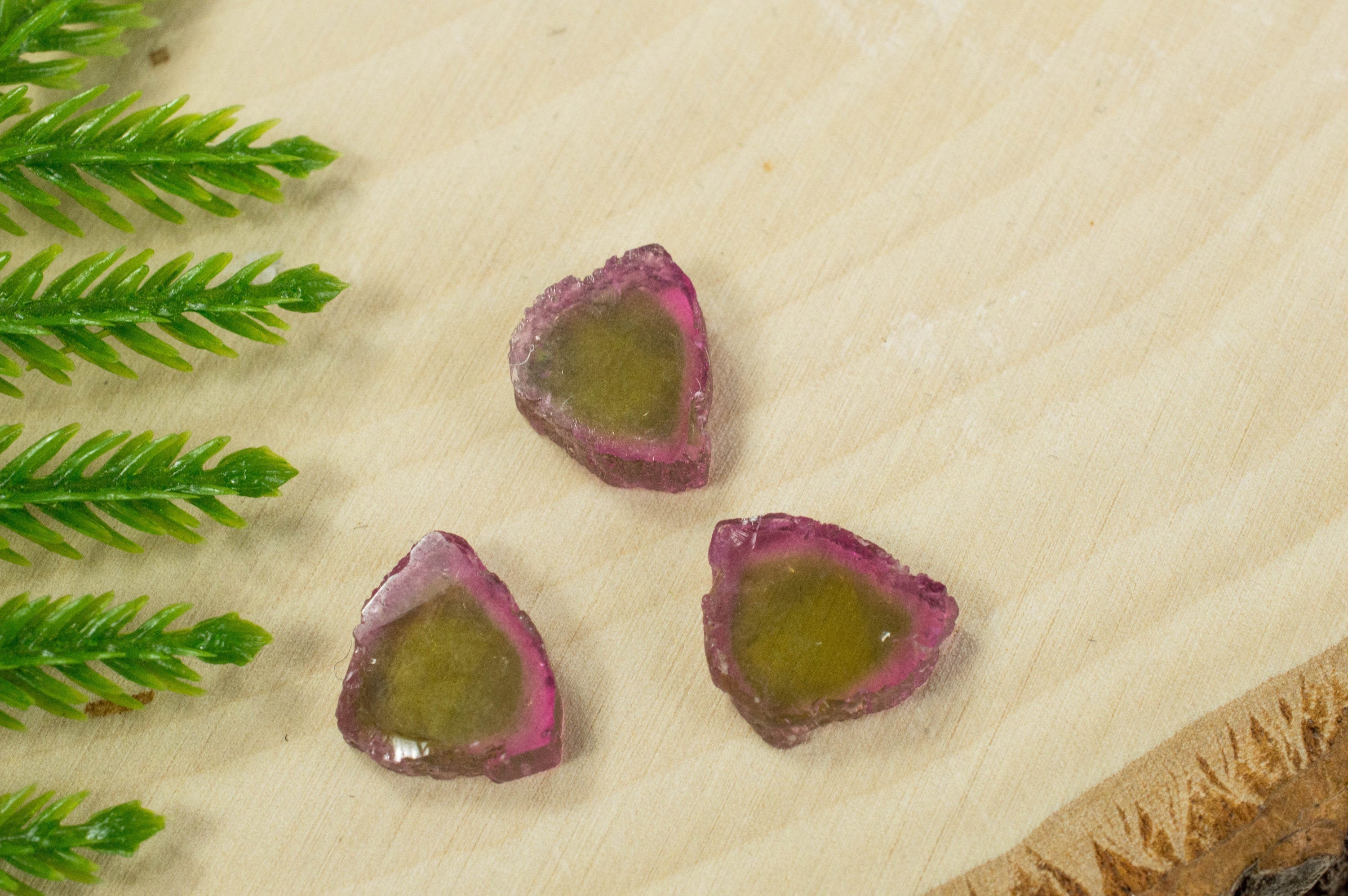 Watermelon Tourmaline Slices; Genuine Untreated Brazilian Tourmaline - Mark Oliver Gems