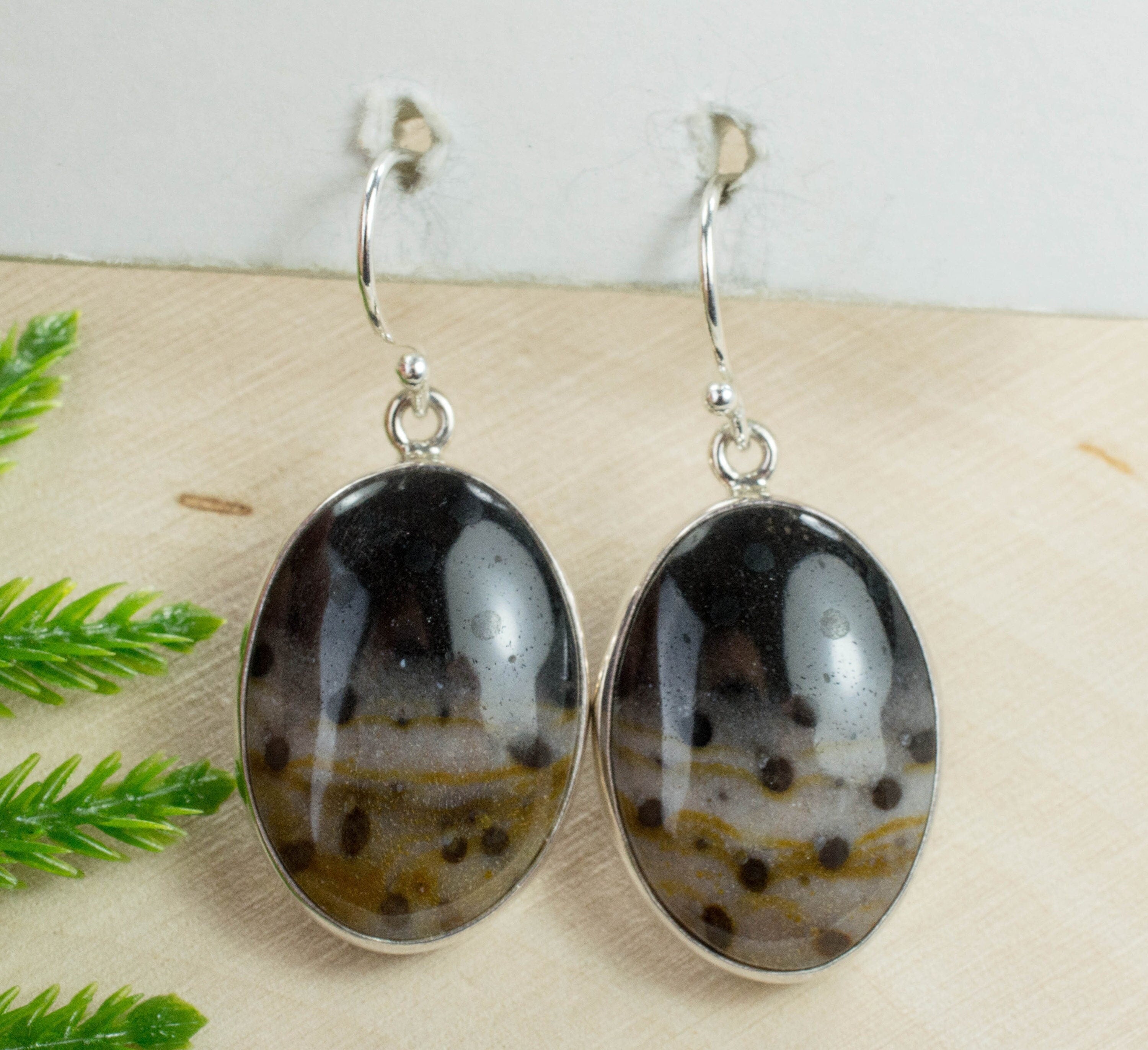 Petrified Palm / Palmoxylon Sterling Silver Earrings; Genuine Untreated Petrified Palm - Mark Oliver Gems