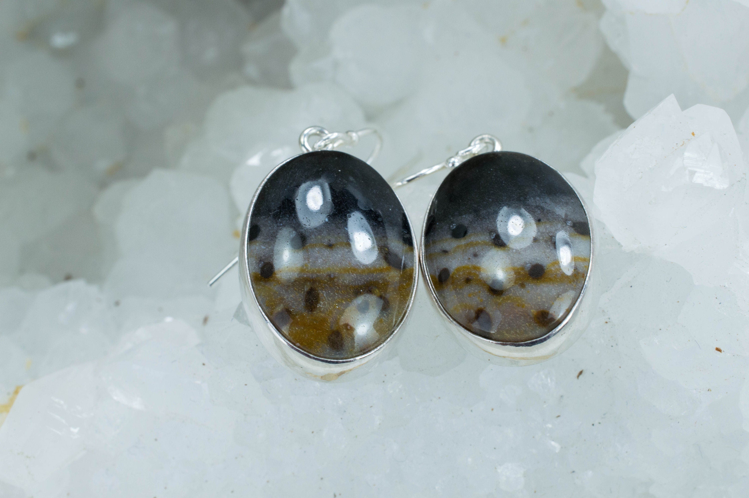 Petrified Palm / Palmoxylon Sterling Silver Earrings; Genuine Untreated Petrified Palm - Mark Oliver Gems