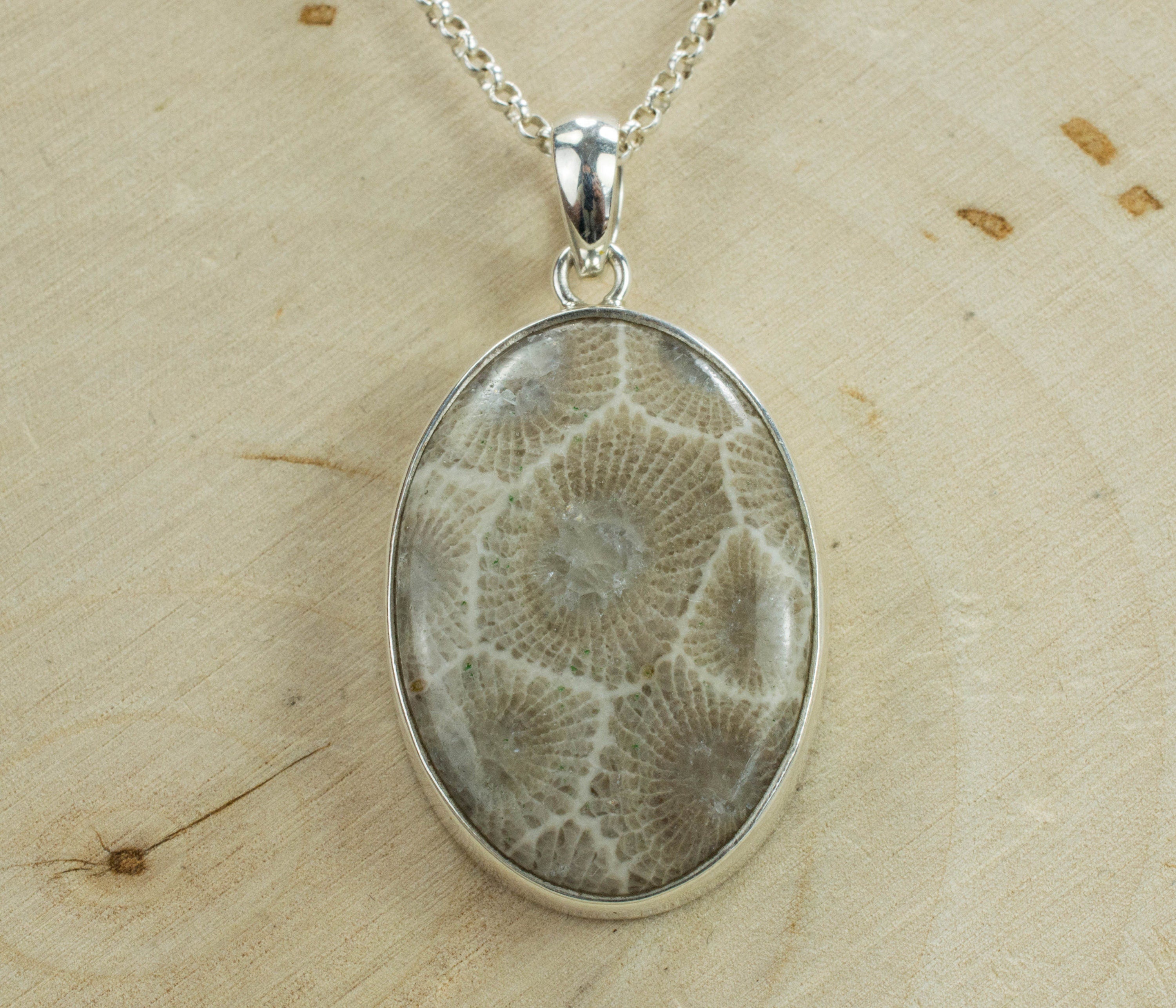 Petoskey Stone Sterling Silver Pendant; Genuine Untreated Michigan Fossil Coral; Petoskey Stone Necklace - Mark Oliver Gems