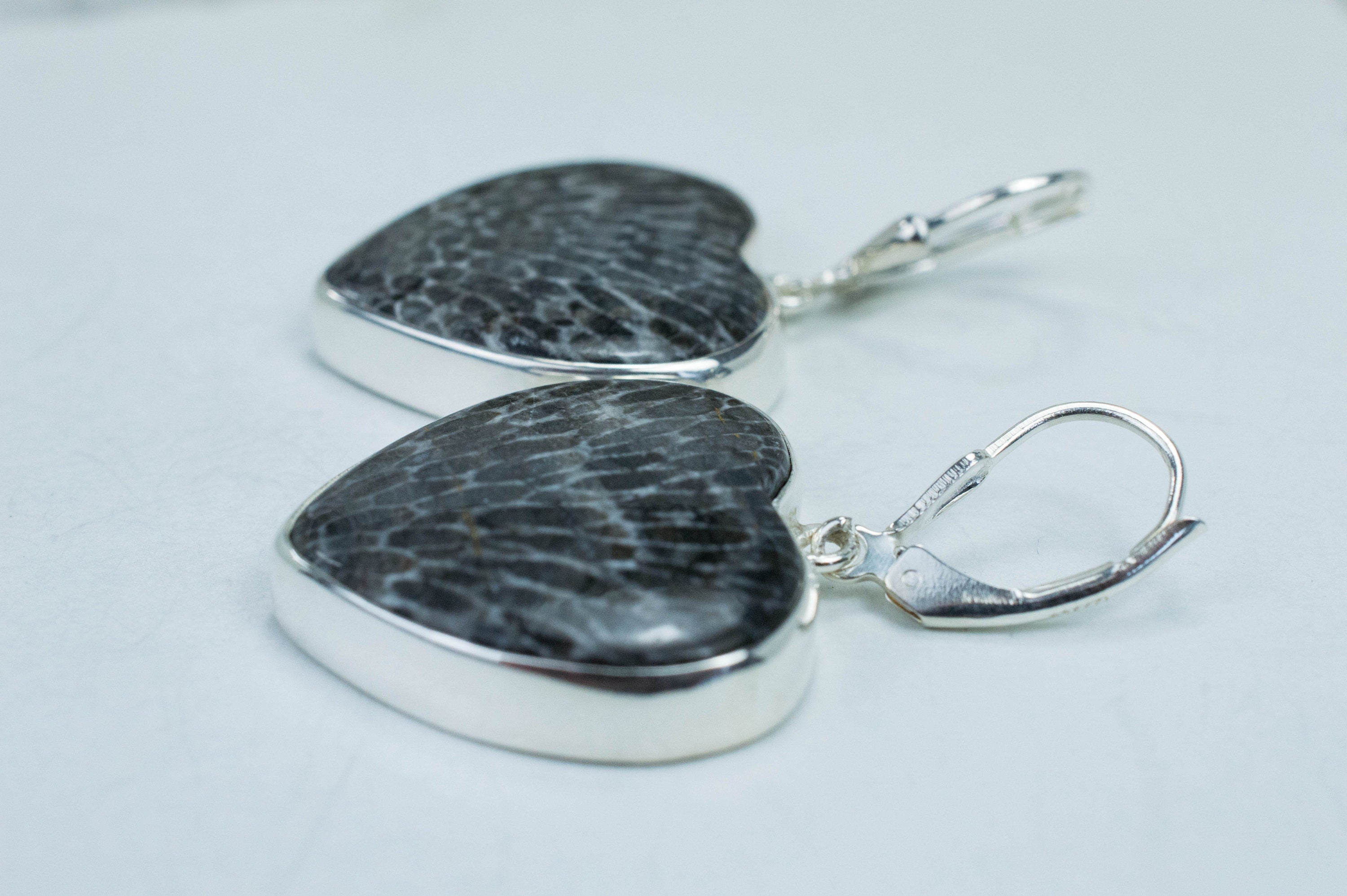 Fossil Coral Earrings; Natural Untreated Morocco Coral - Mark Oliver Gems