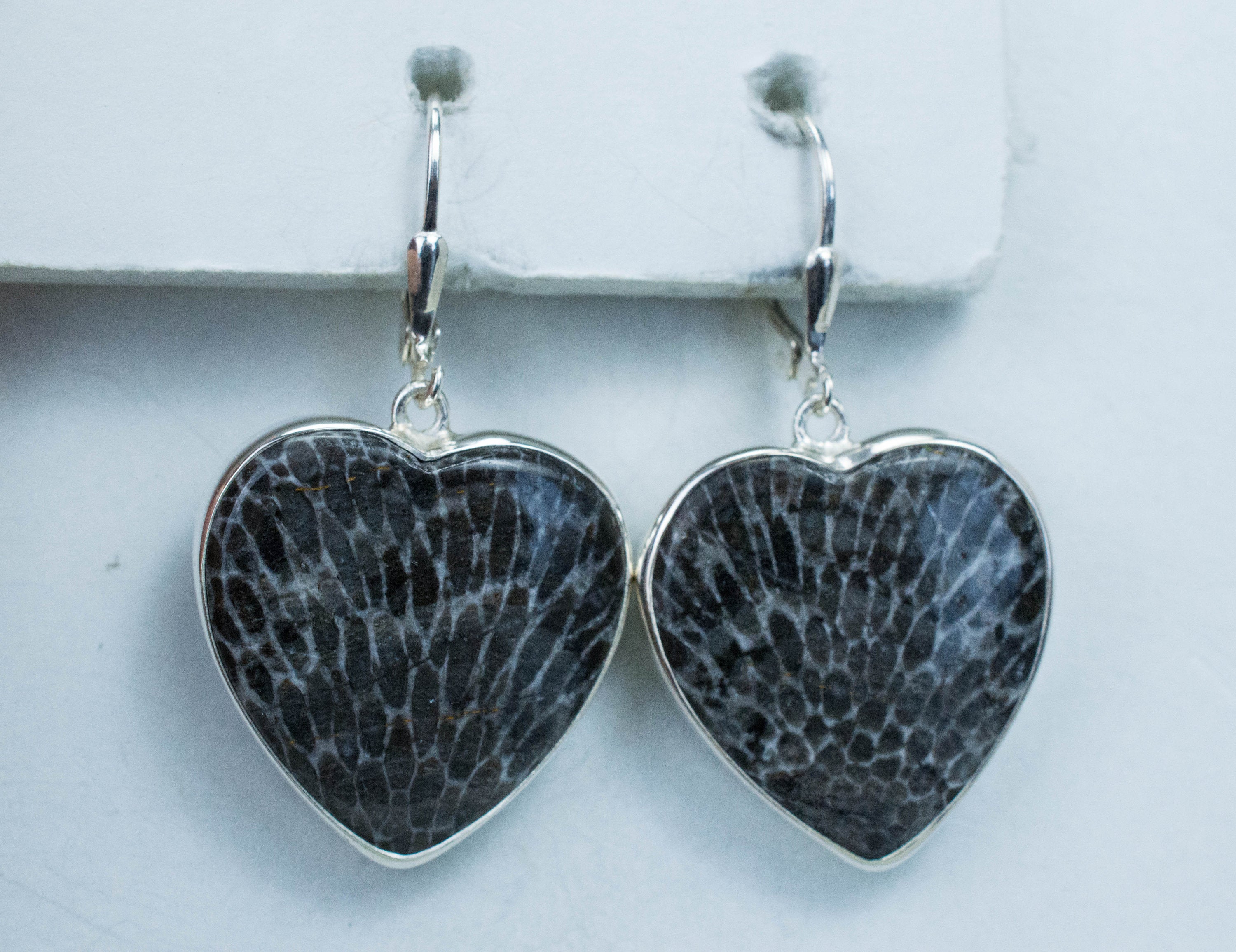 Fossil Coral Earrings; Natural Untreated Morocco Coral - Mark Oliver Gems