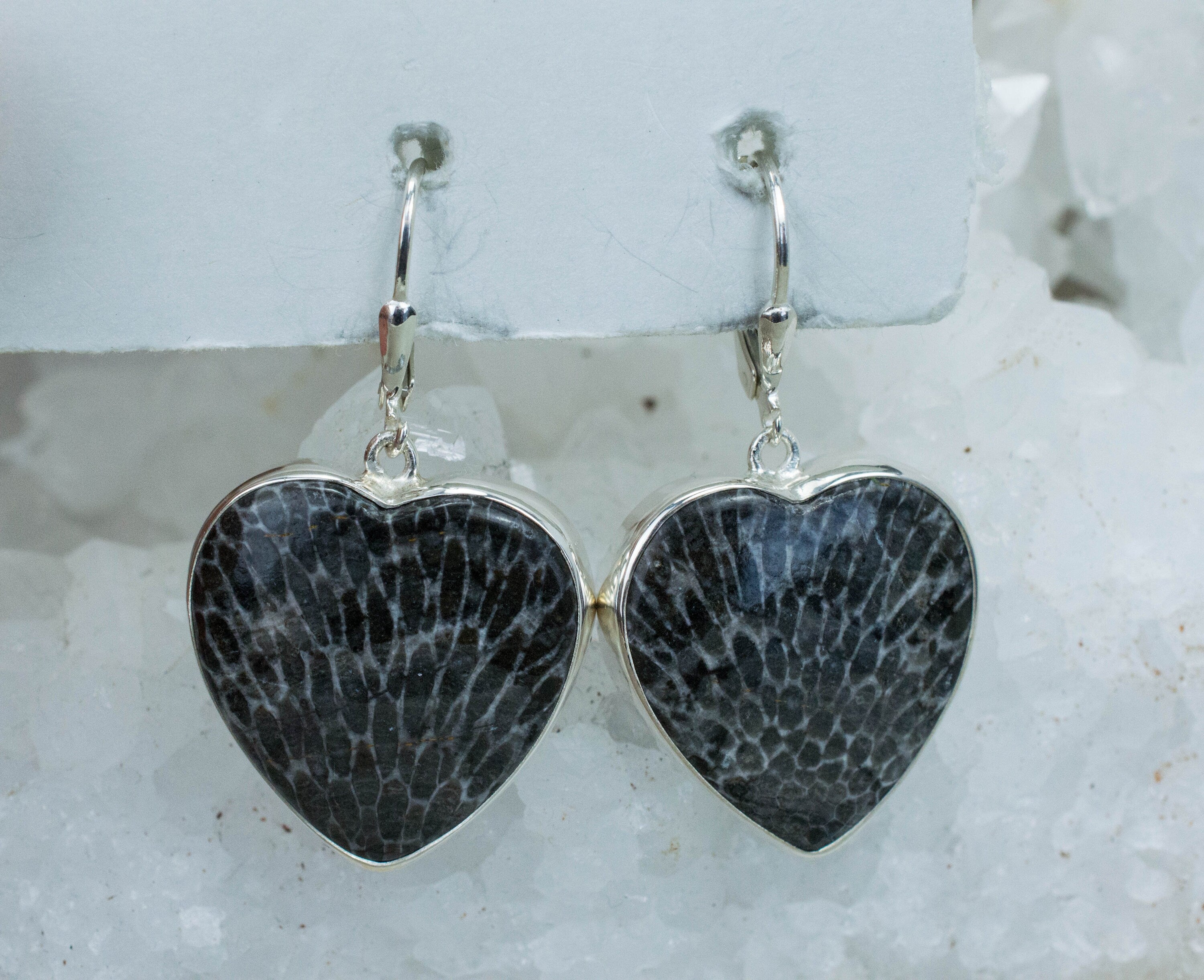 Fossil Coral Earrings; Natural Untreated Morocco Coral - Mark Oliver Gems