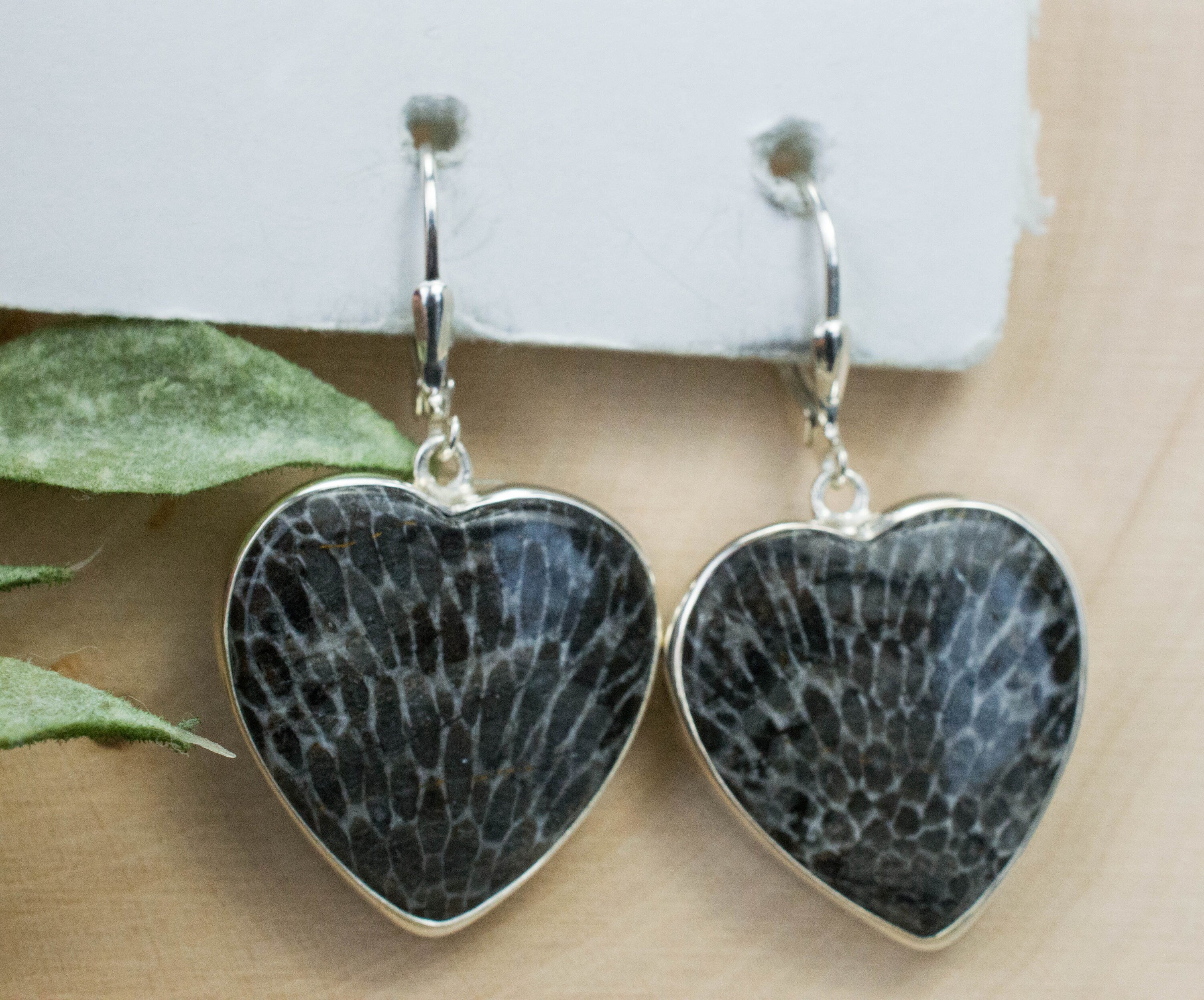 Fossil Coral Earrings; Natural Untreated Morocco Coral - Mark Oliver Gems