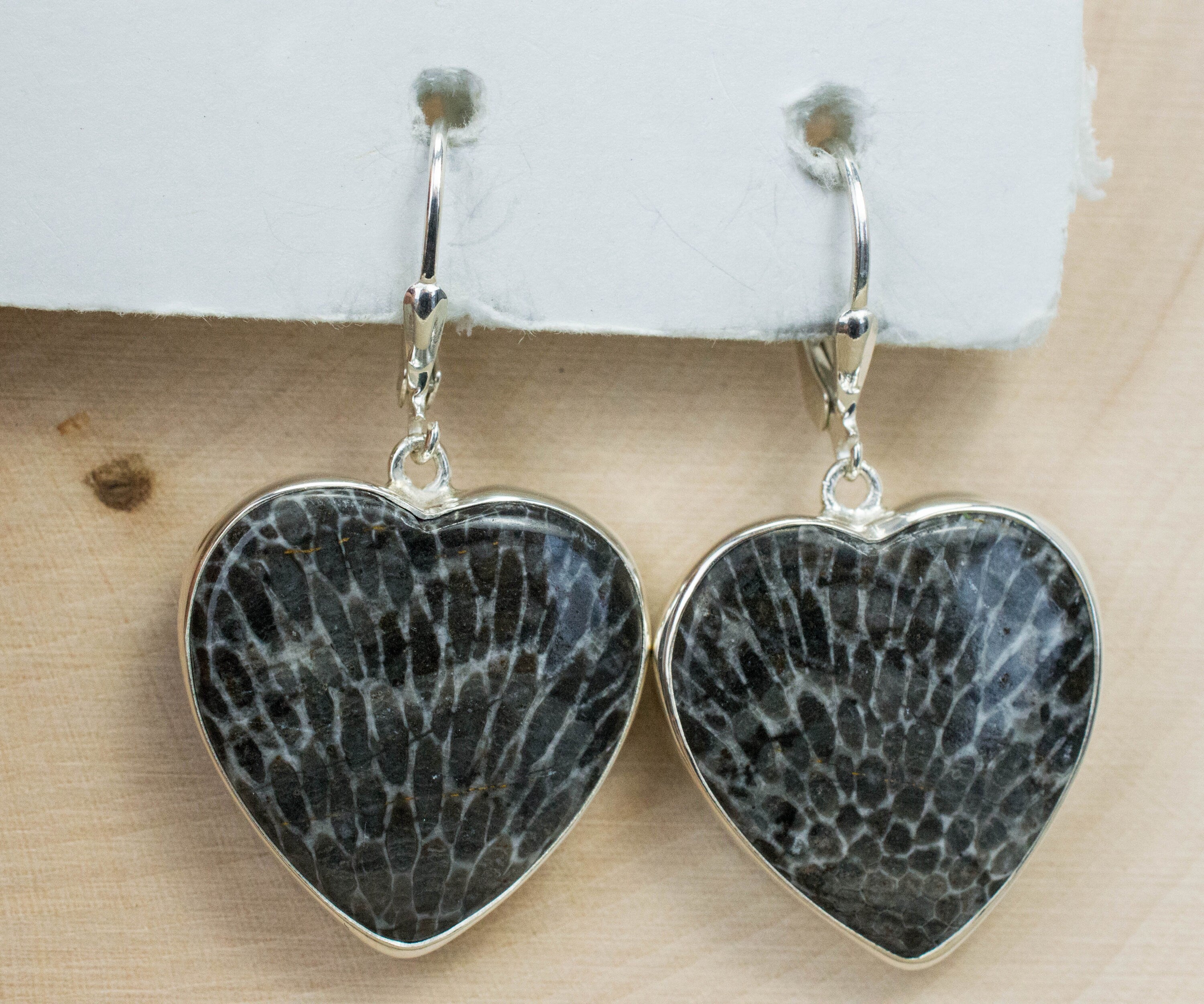 Fossil Coral Earrings; Natural Untreated Morocco Coral - Mark Oliver Gems