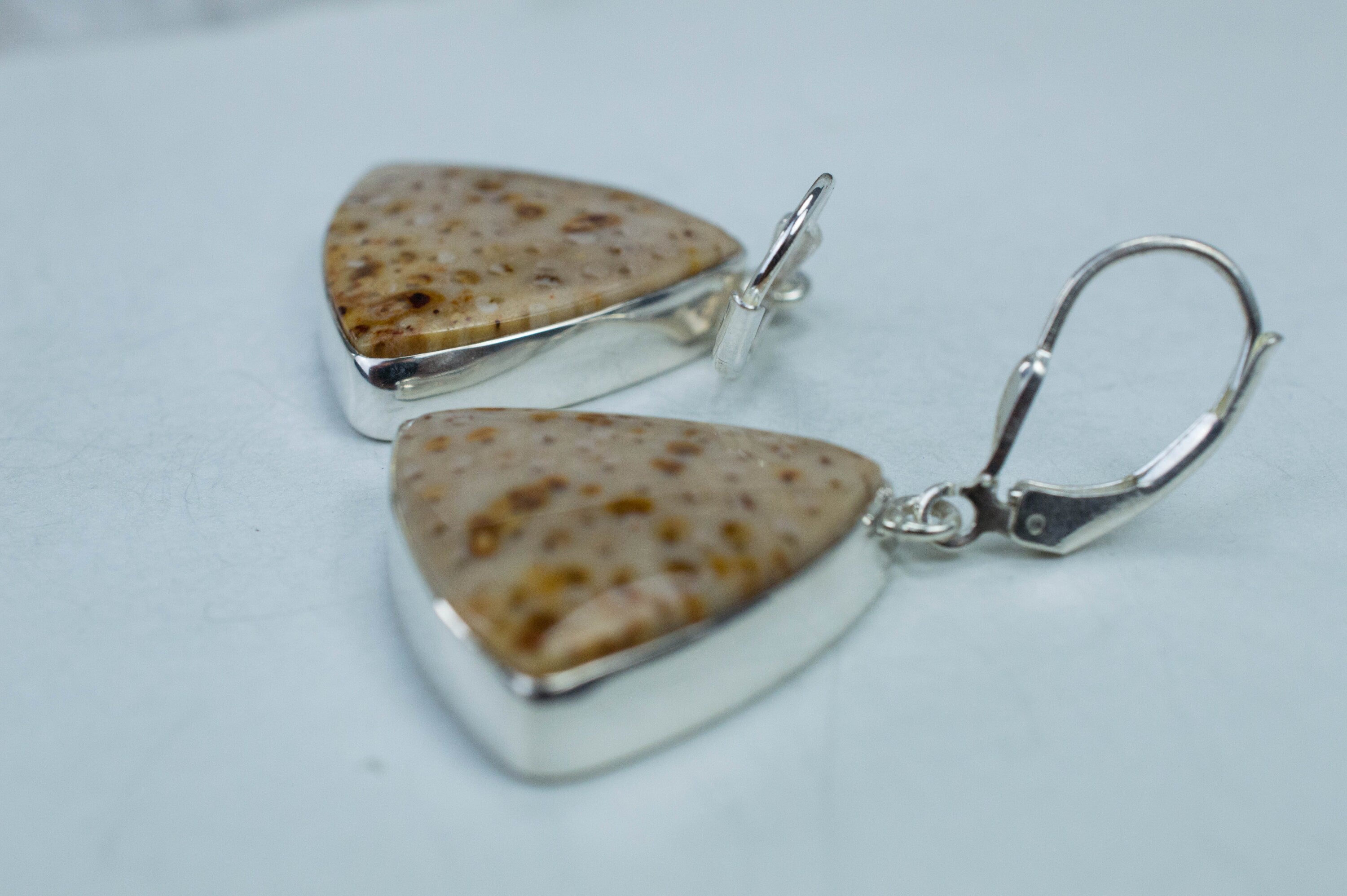 Petrified Palm Earrings; Genuine Untreated Texas Palmoxylon - Mark Oliver Gems