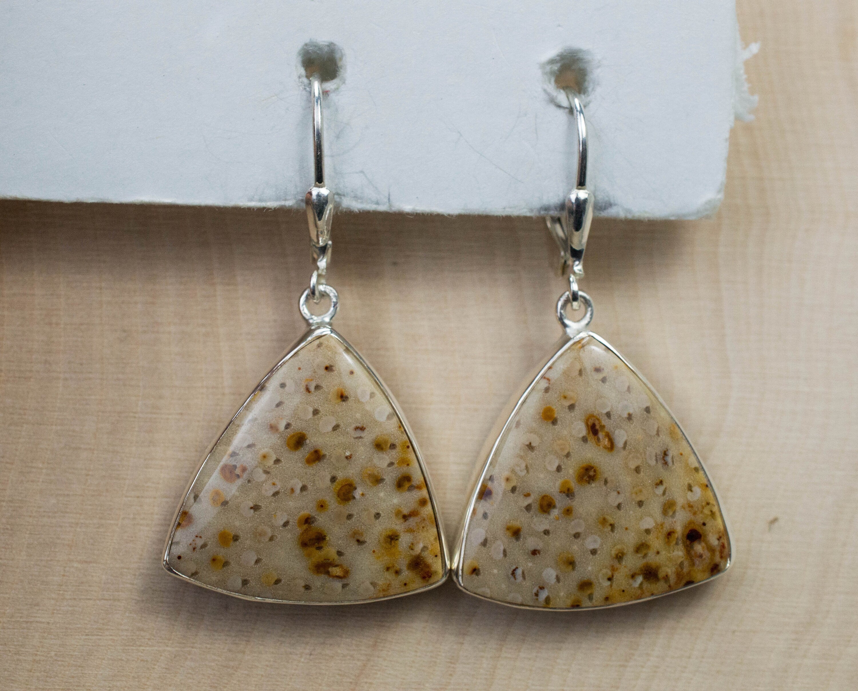 Petrified Palm Earrings; Genuine Untreated Texas Palmoxylon - Mark Oliver Gems