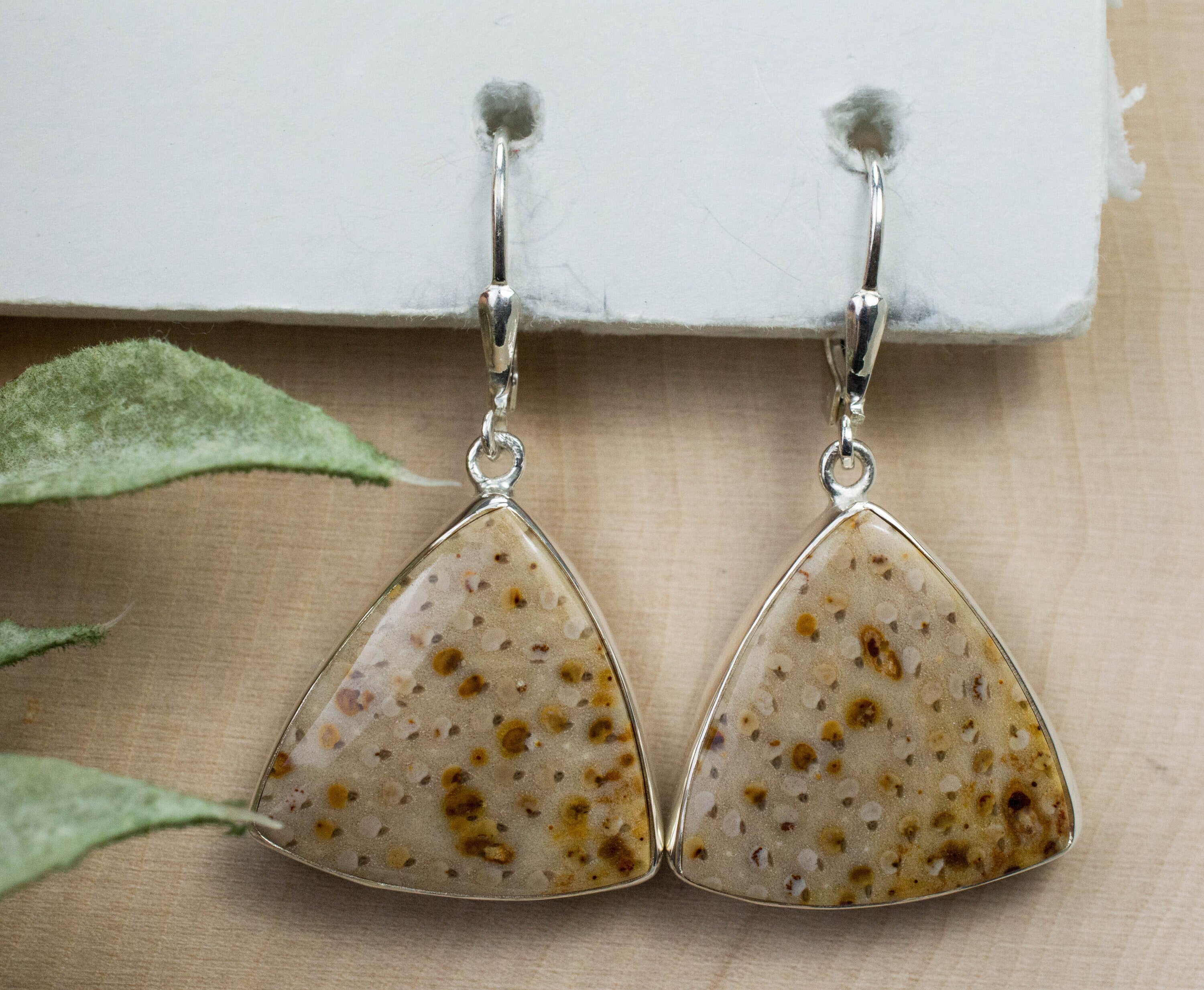 Petrified Palm Earrings; Genuine Untreated Texas Palmoxylon - Mark Oliver Gems