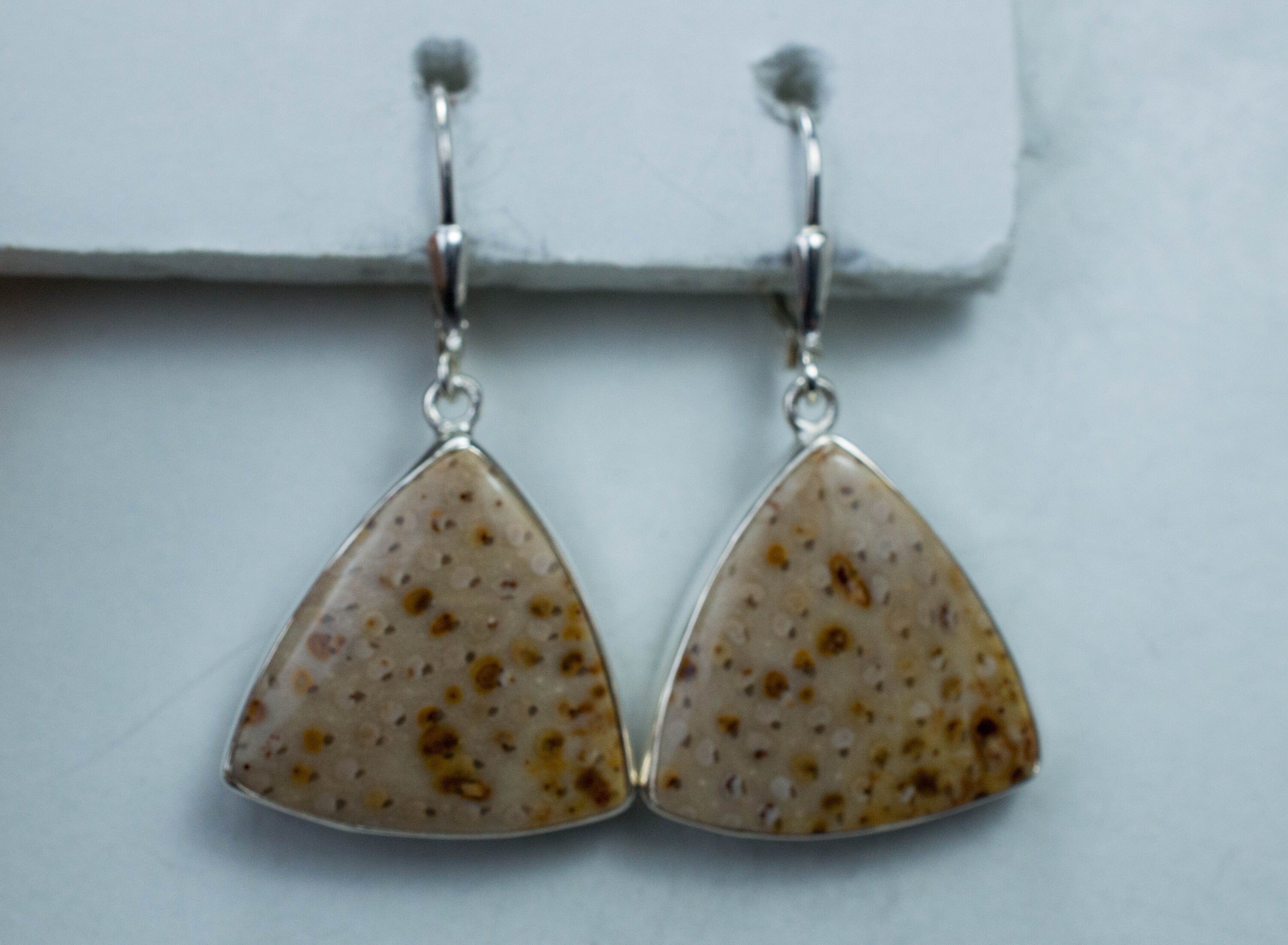 Petrified Palm Earrings; Genuine Untreated Texas Palmoxylon - Mark Oliver Gems