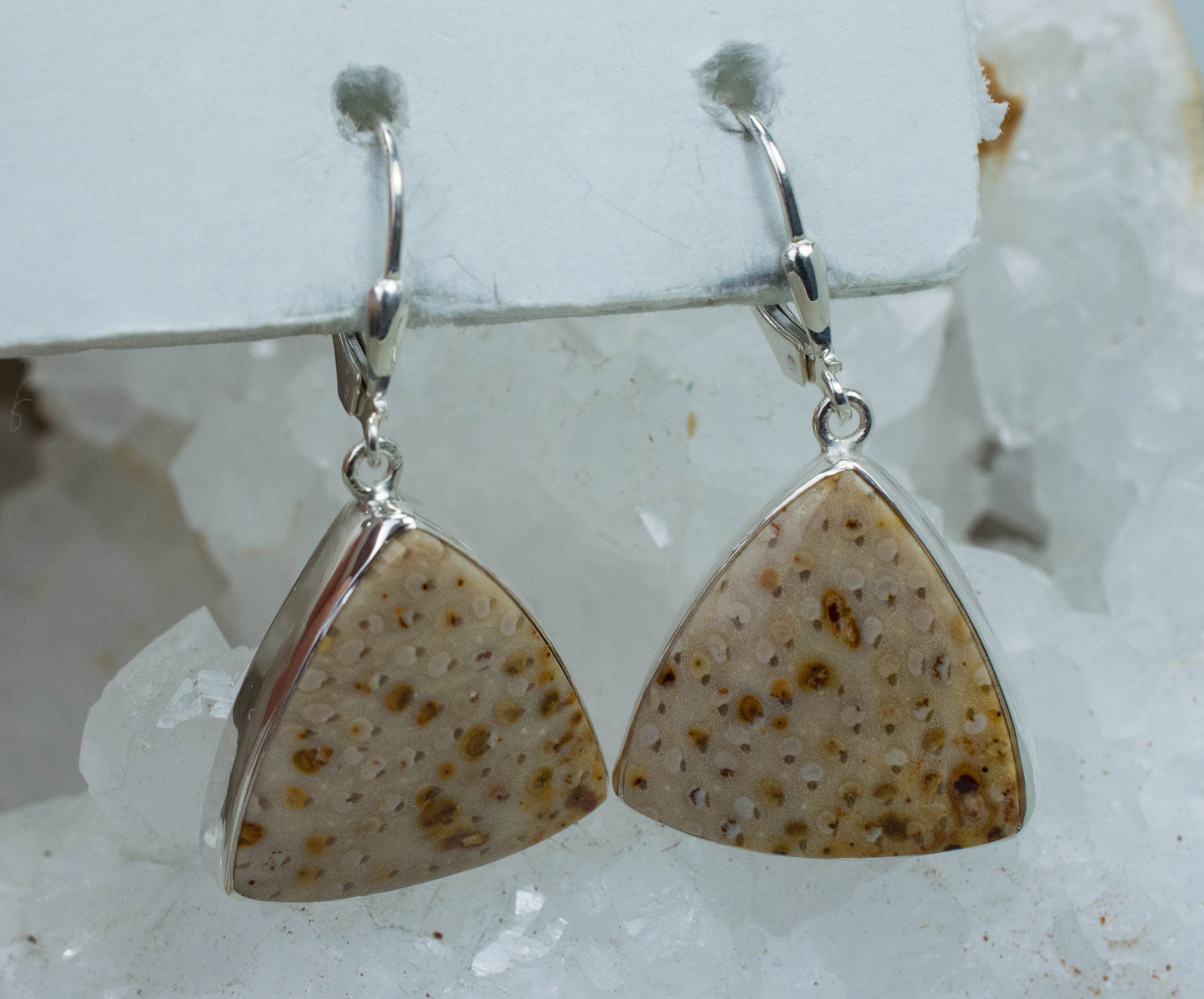 Petrified Palm Earrings; Genuine Untreated Texas Palmoxylon - Mark Oliver Gems