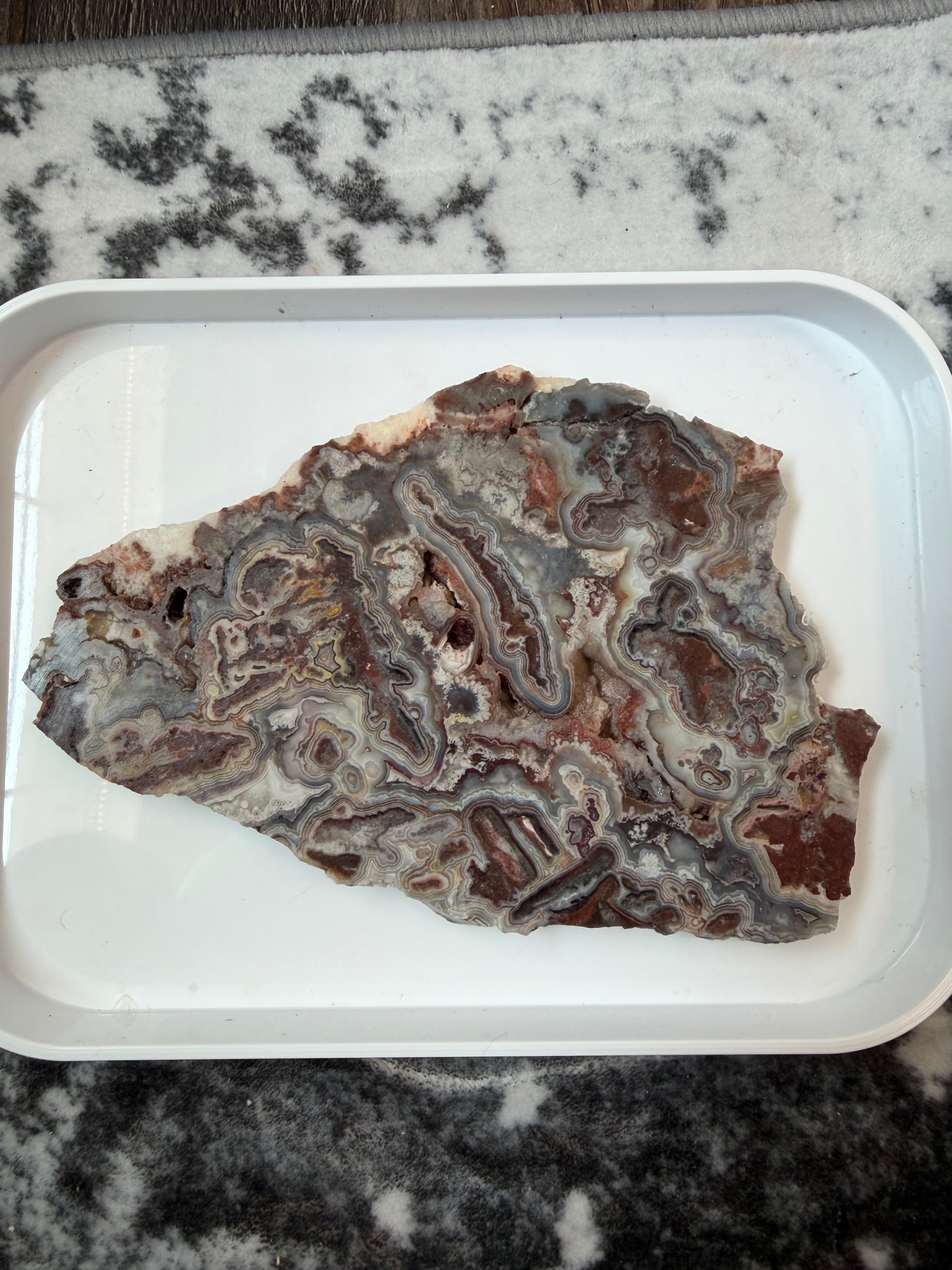 Crazy Lace Agate Slab from Mexico; 303.15 grams