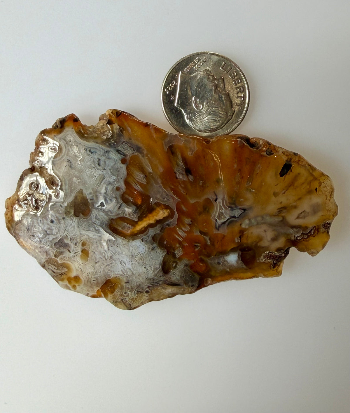 Turkish Agate Slice; 22.61 grams