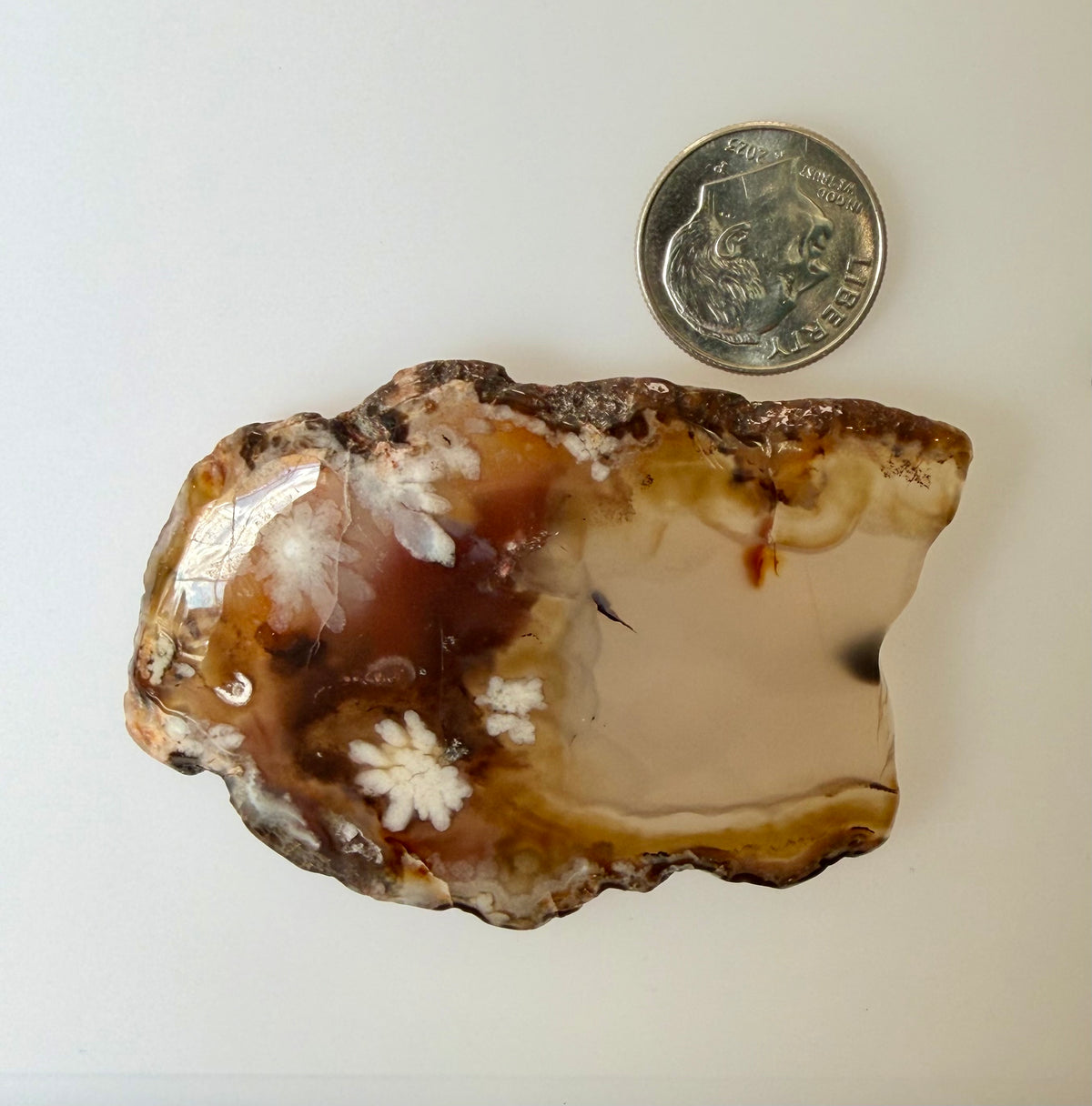 Pierre précieuse d'améthyste ; Améthyste d'Uruguay naturelle non traitée, 4,545 cts 