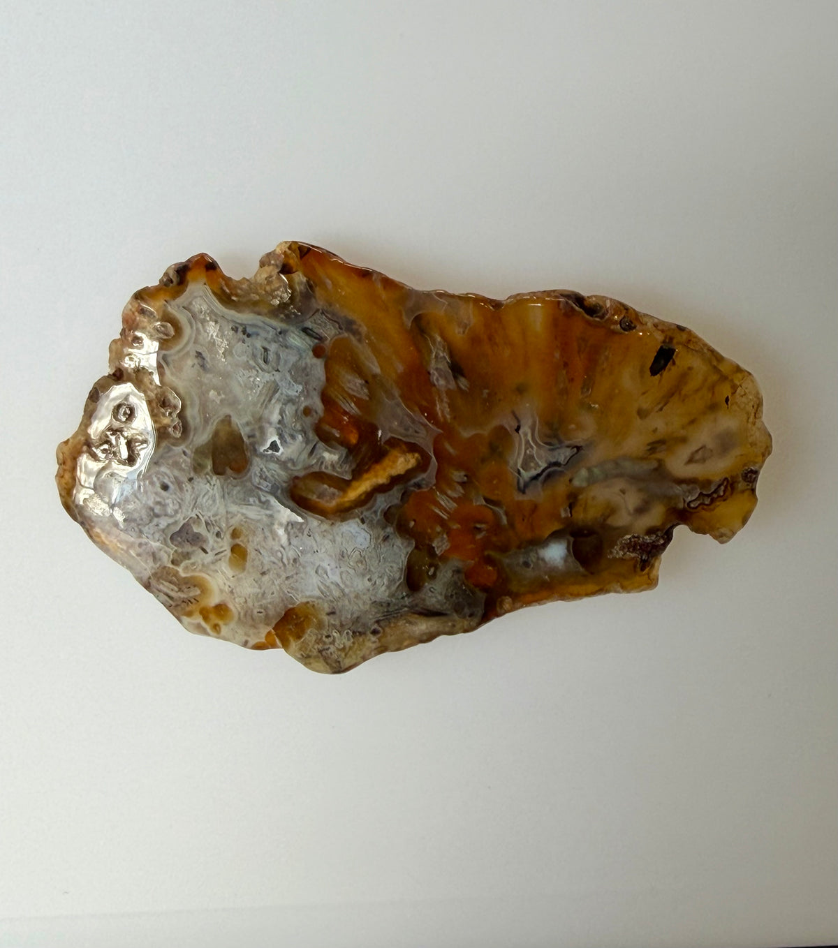 Turkish Agate Slice; 22.61 grams