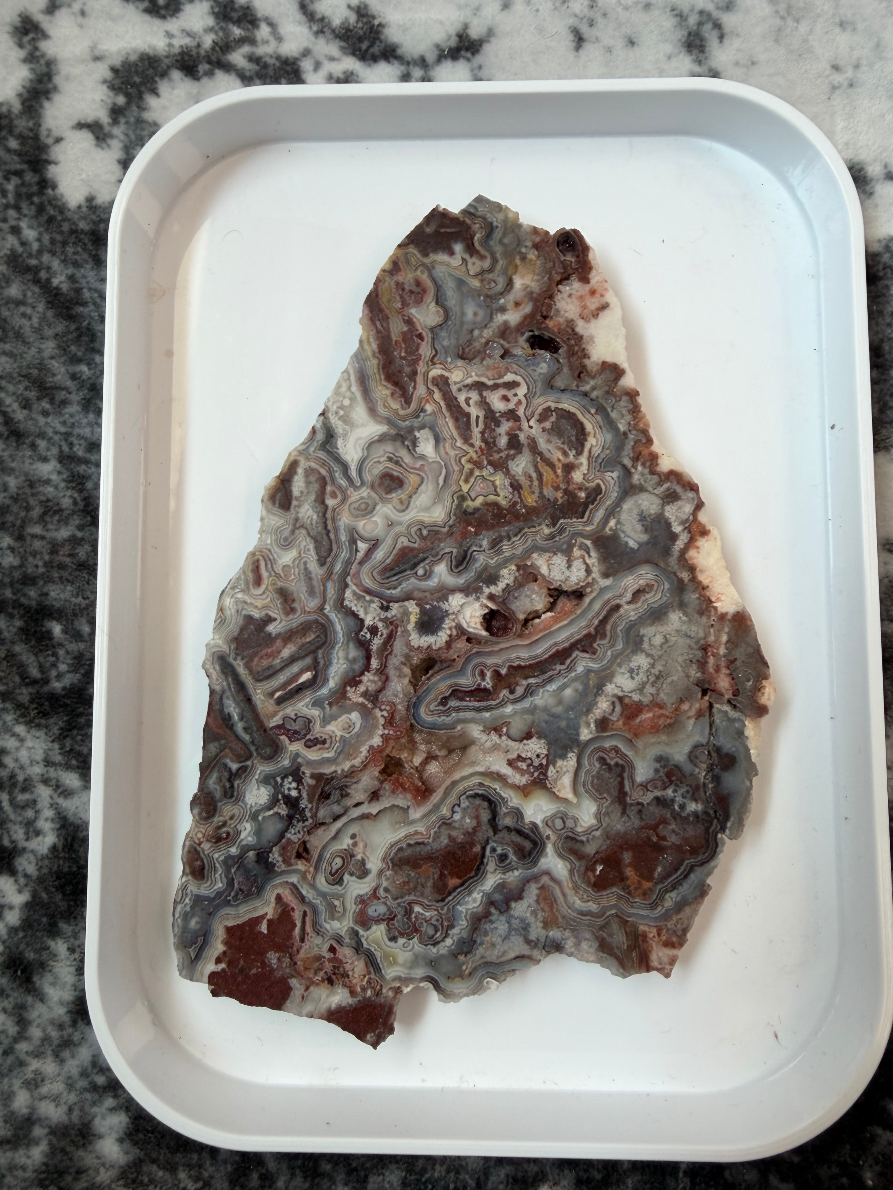 Crazy Lace Agate Slab from Mexico; 303.15 grams